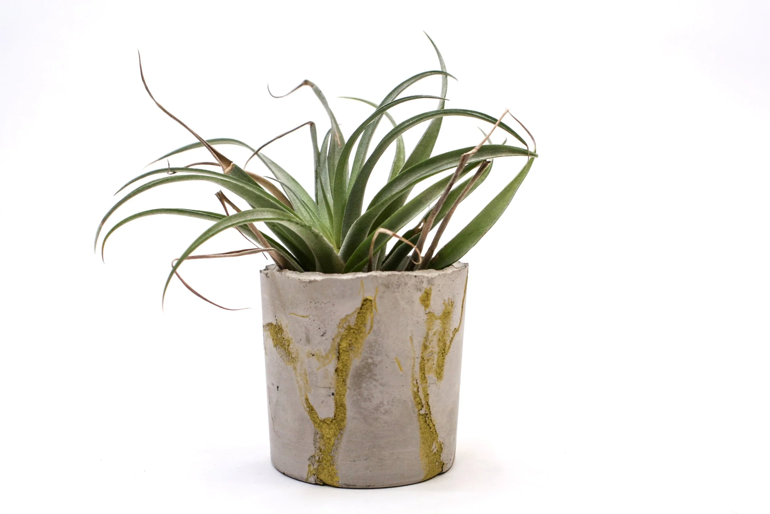 concrete1-min.jpg