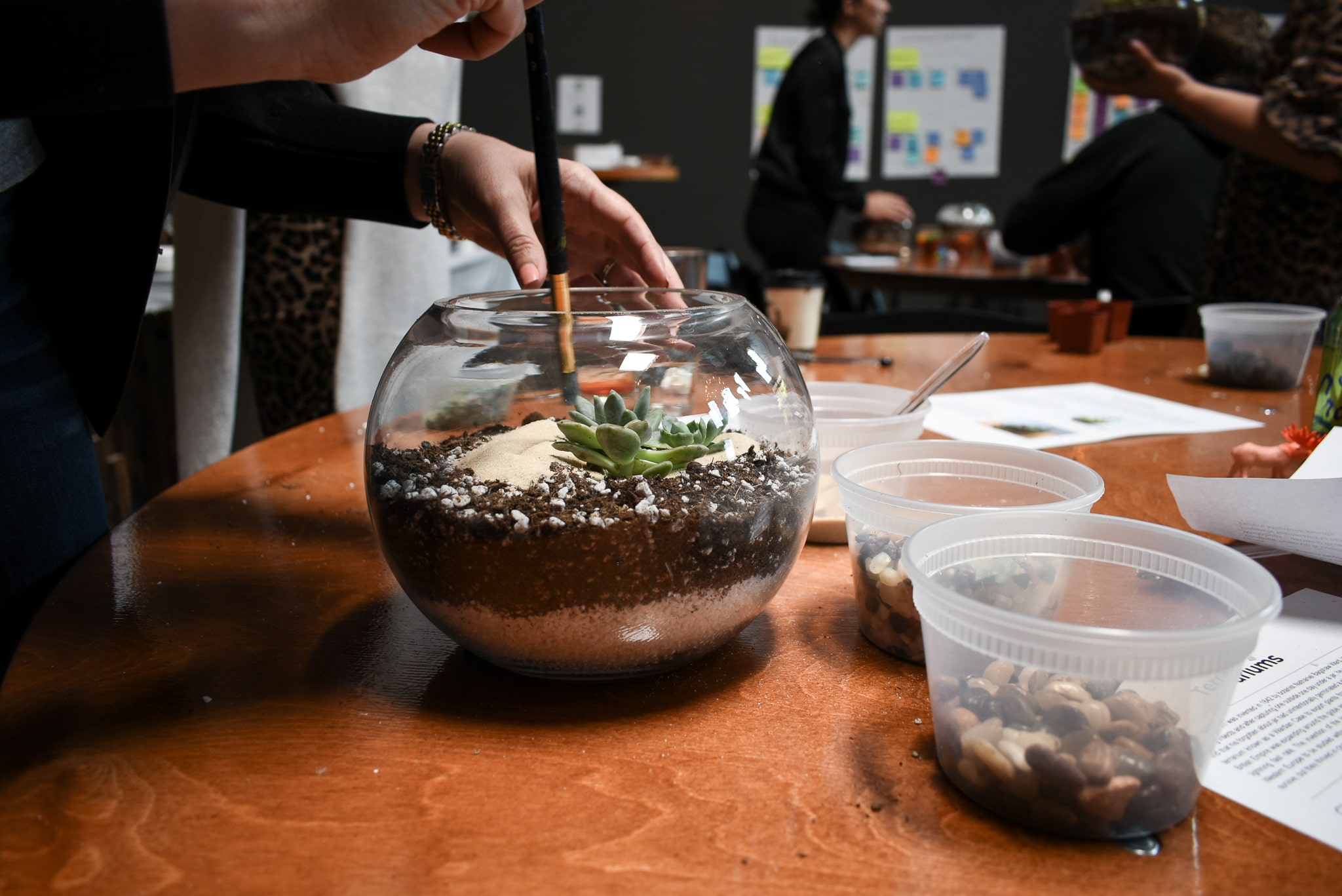 DSC_0635-min.jpg