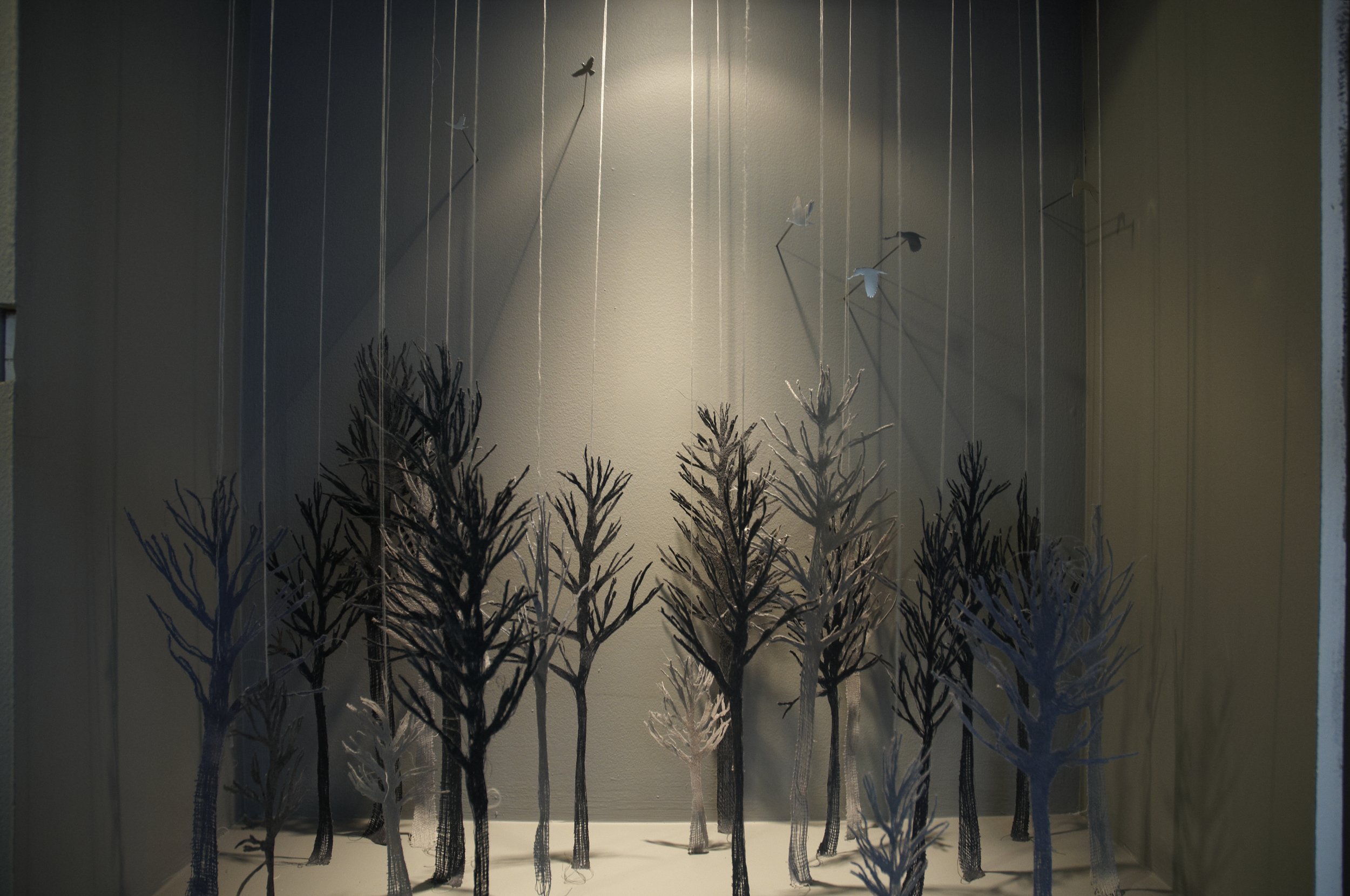 "Birds and Forest"