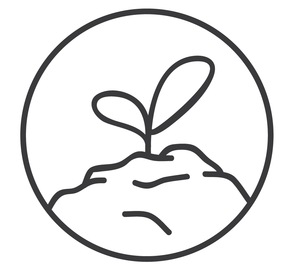 website-iconsb1.png
