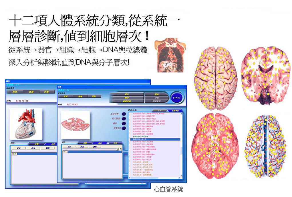 上圖的器官黃色點點 表示是健康狀態 