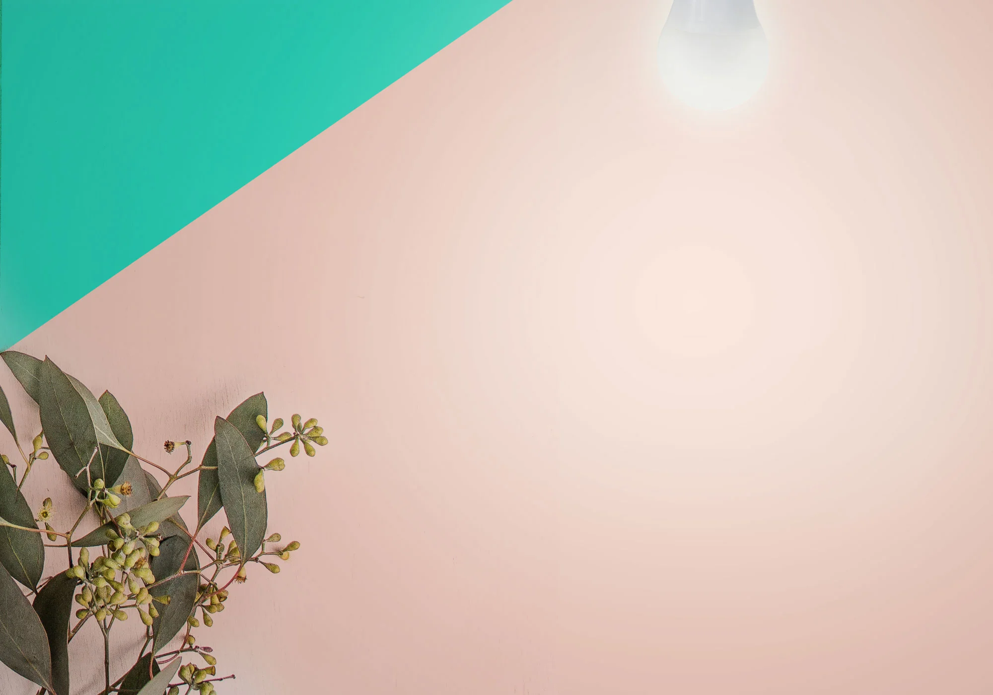 light.jpg