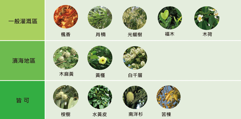  (圖一):依造林地環境狀況的樹種建議