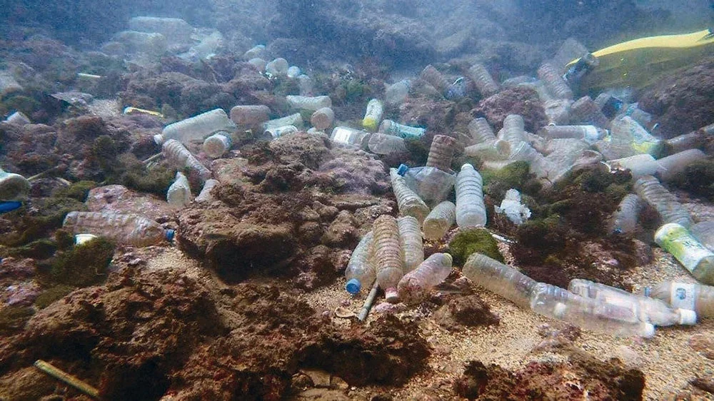寶特瓶海.jpg