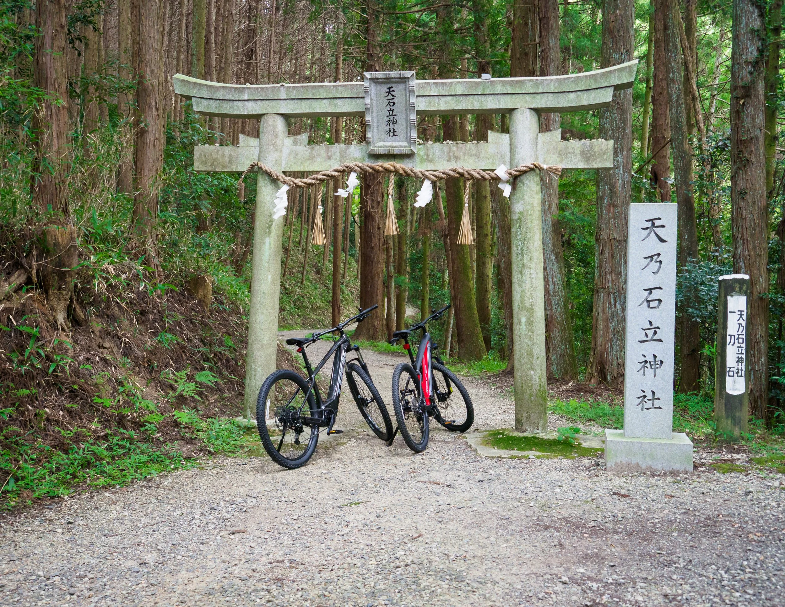 P1010373-q7.jpg