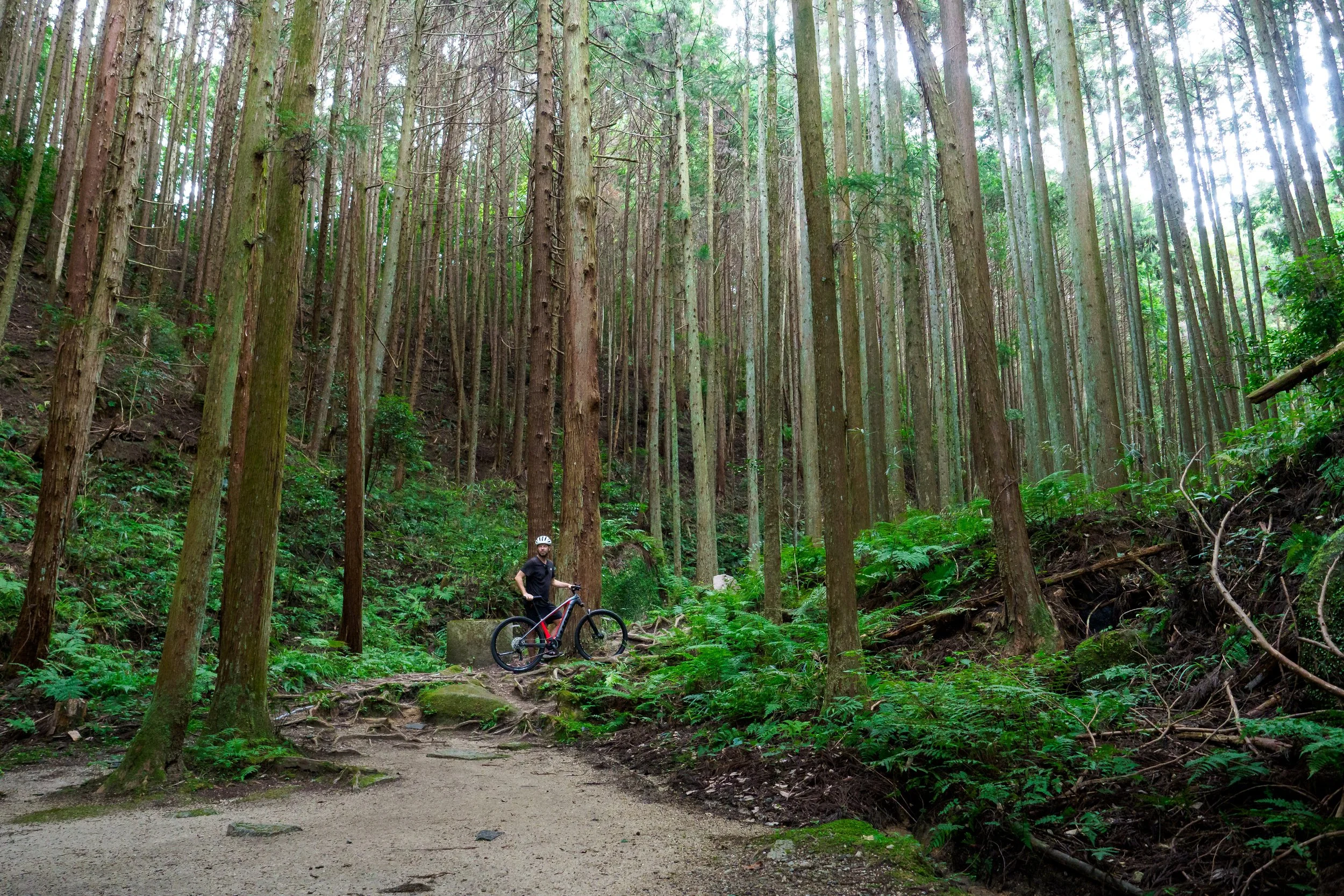 P1010377-q7.jpg
