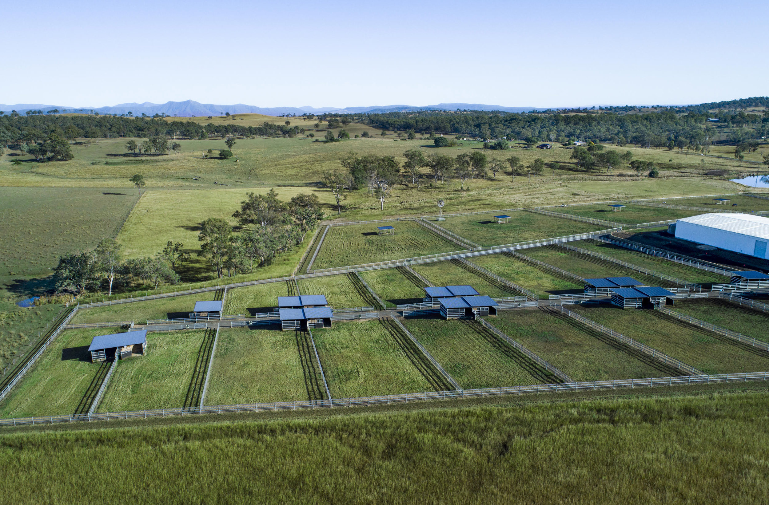 unnamed (10)green.jpg