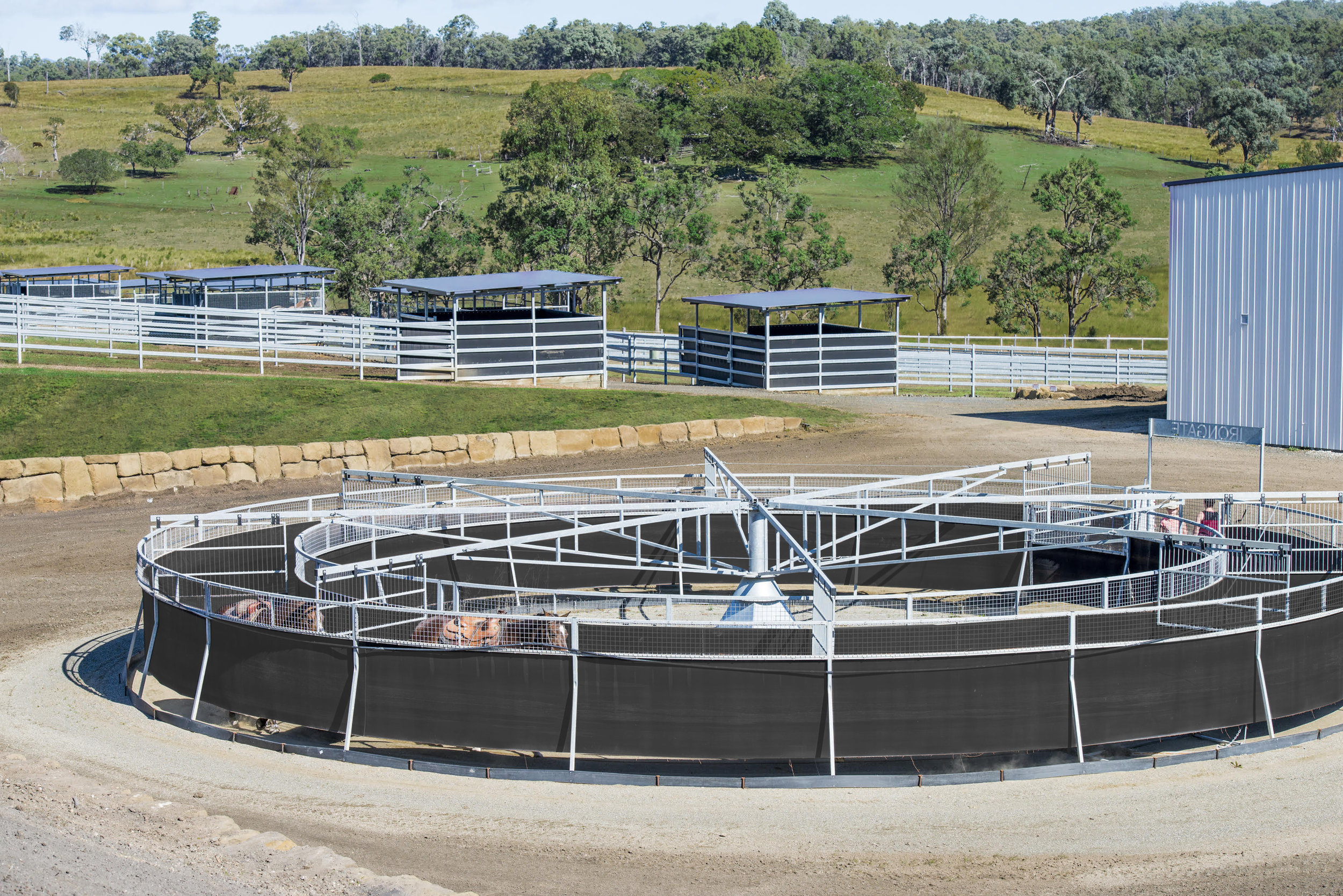 wheel thing EDIT.jpg