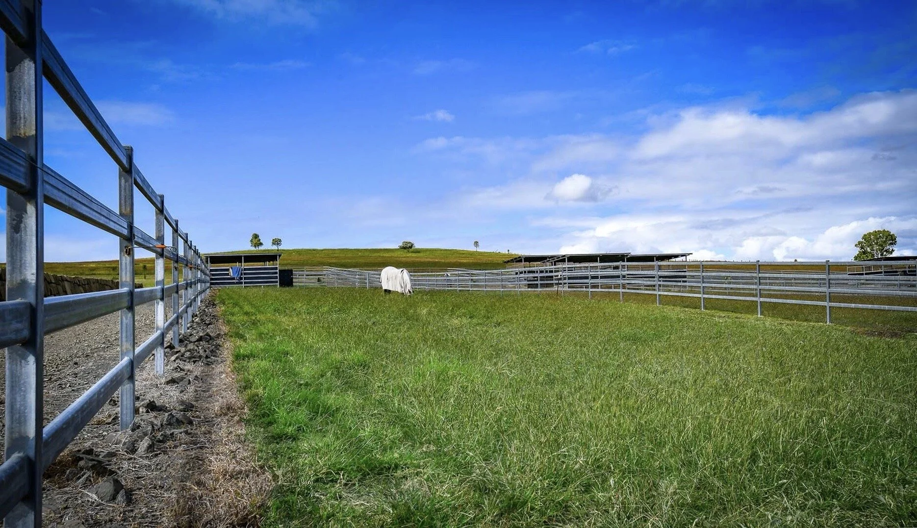 Image 28-4-20 at 7.25 pm.JPG