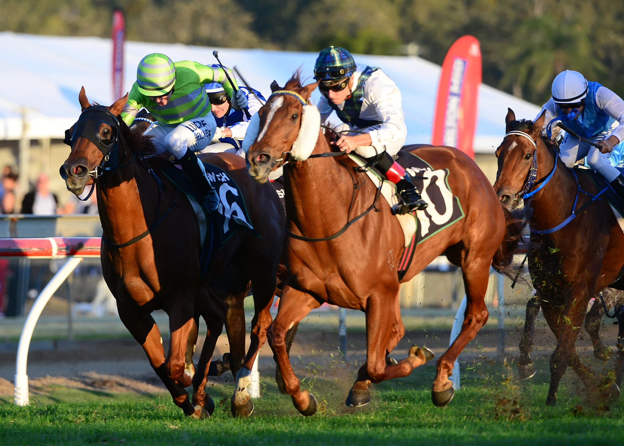 Magic Alibi Ipswich Cup.JPG