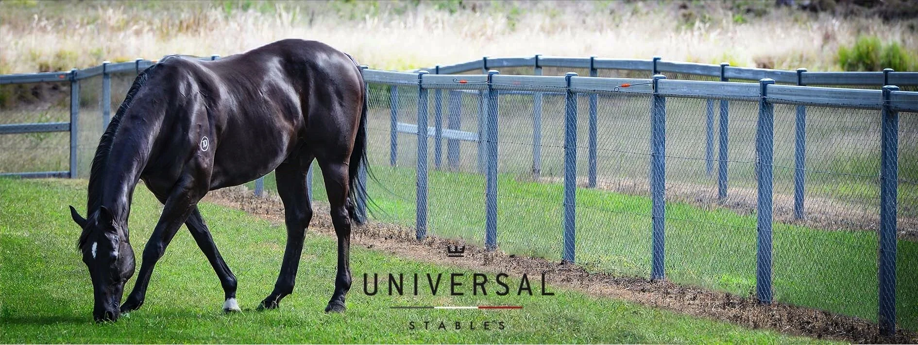 Image 11-5-20 at 9.58 pm.JPG