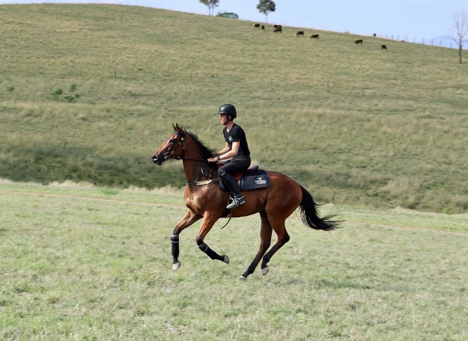 Image 11-5-20 at 9.40 pm.JPG