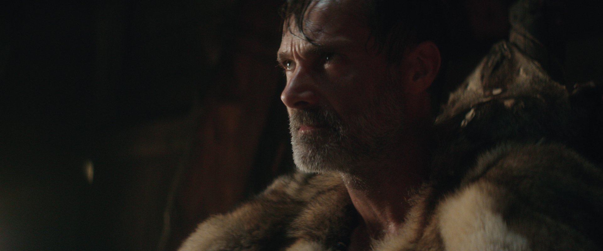 Viking Blood