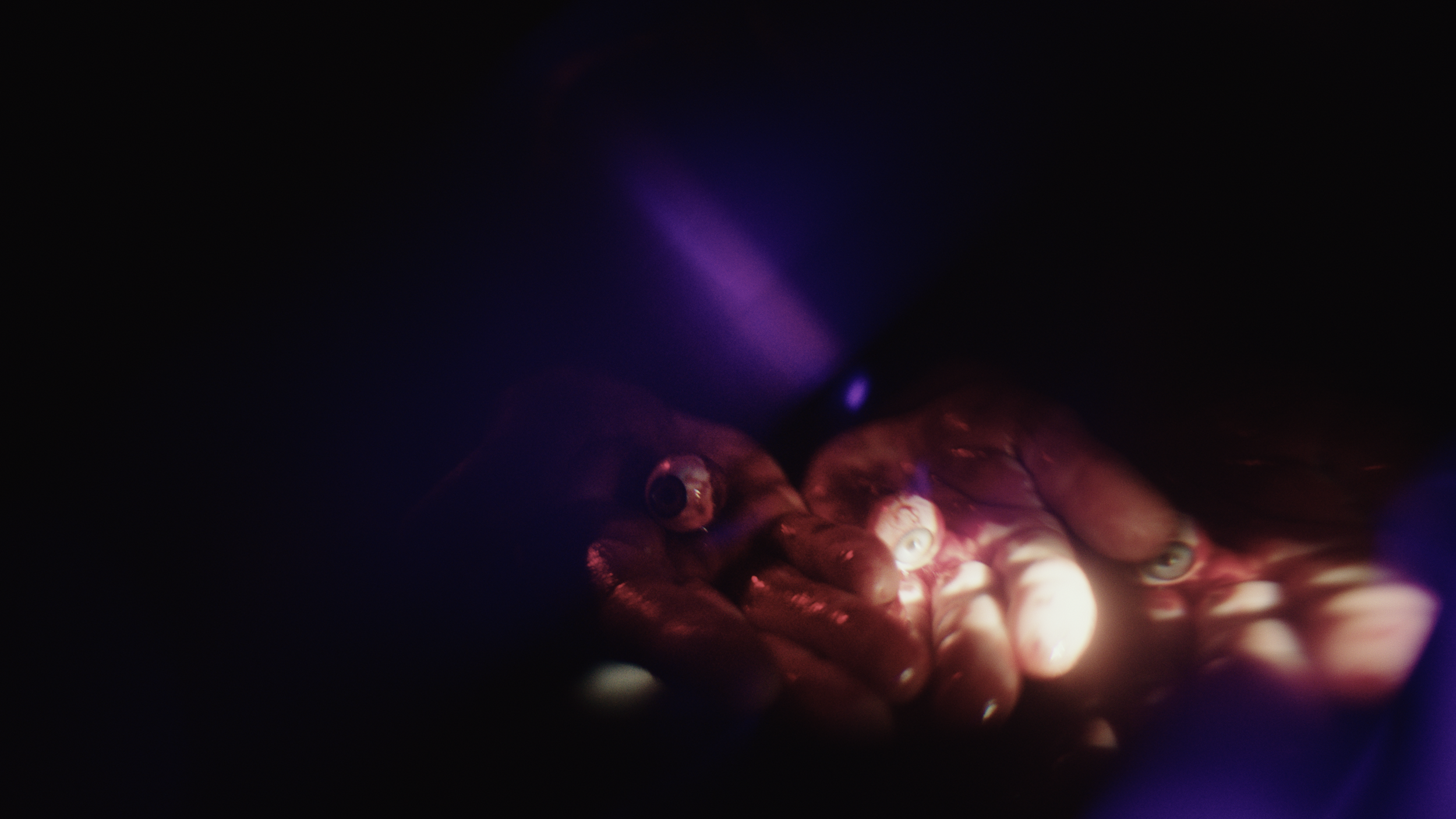 Footage.05_47_14_11.Still133.png