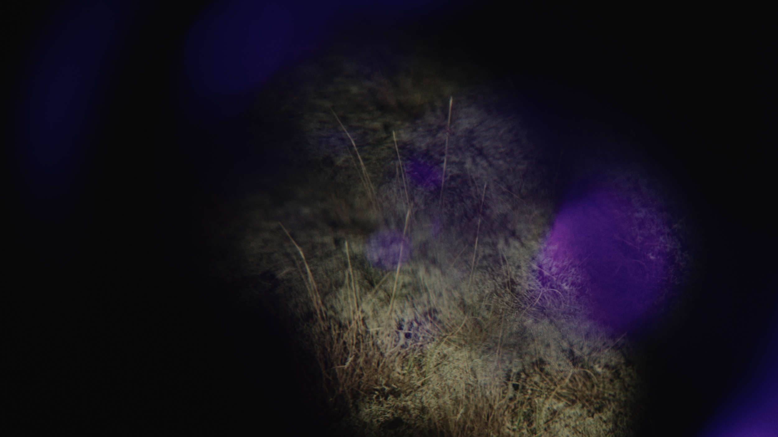 Footage.05_53_44_16.Still131.png