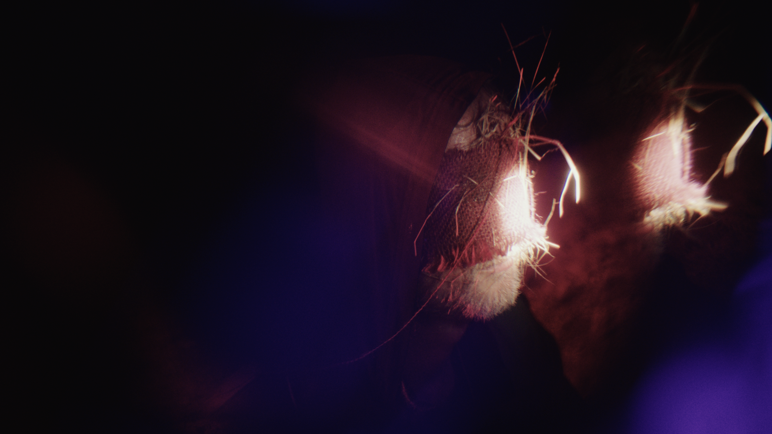 Footage.06_00_52_12.Still126.png