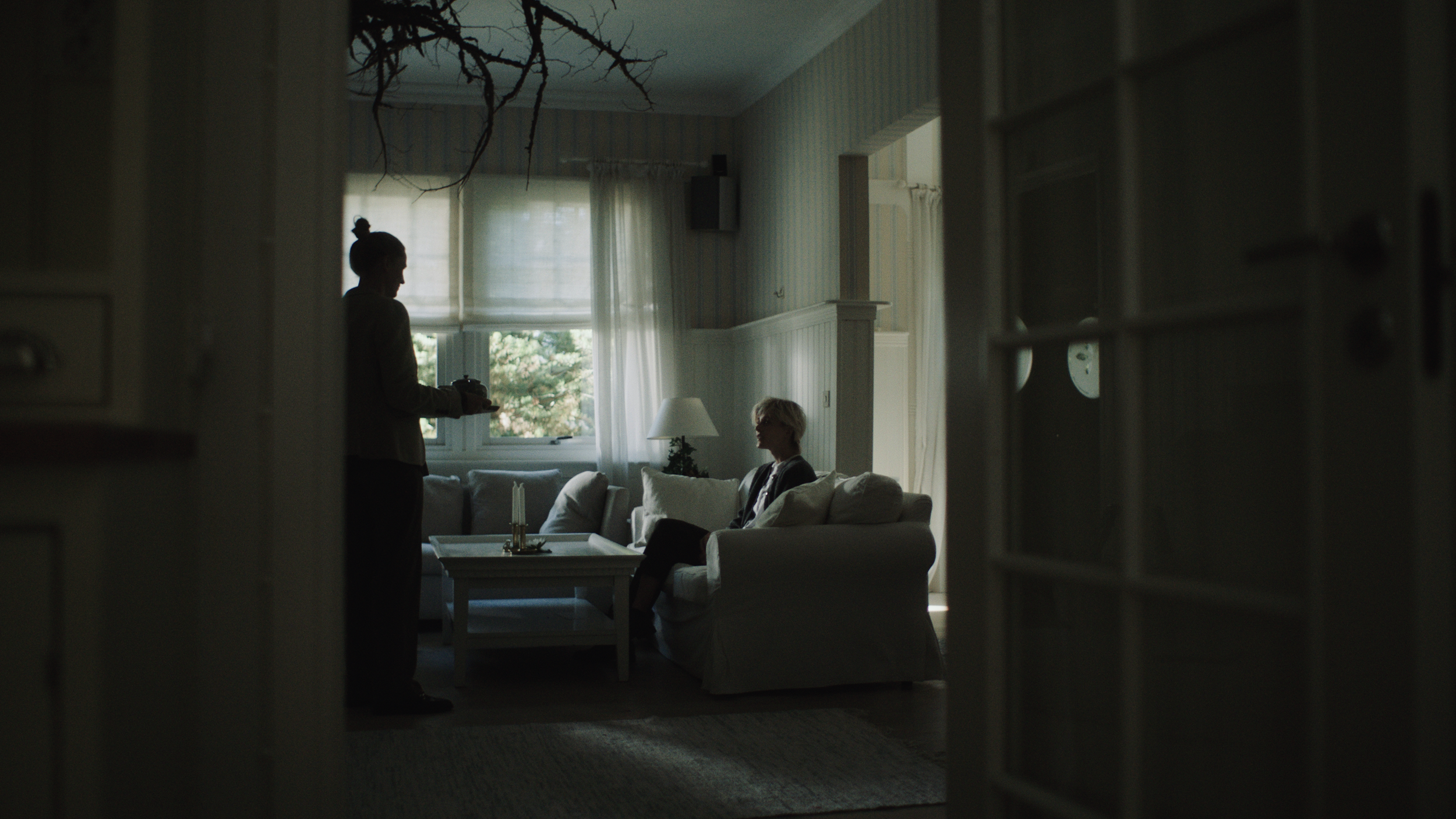 Footage.08_33_48_07.Still087.png