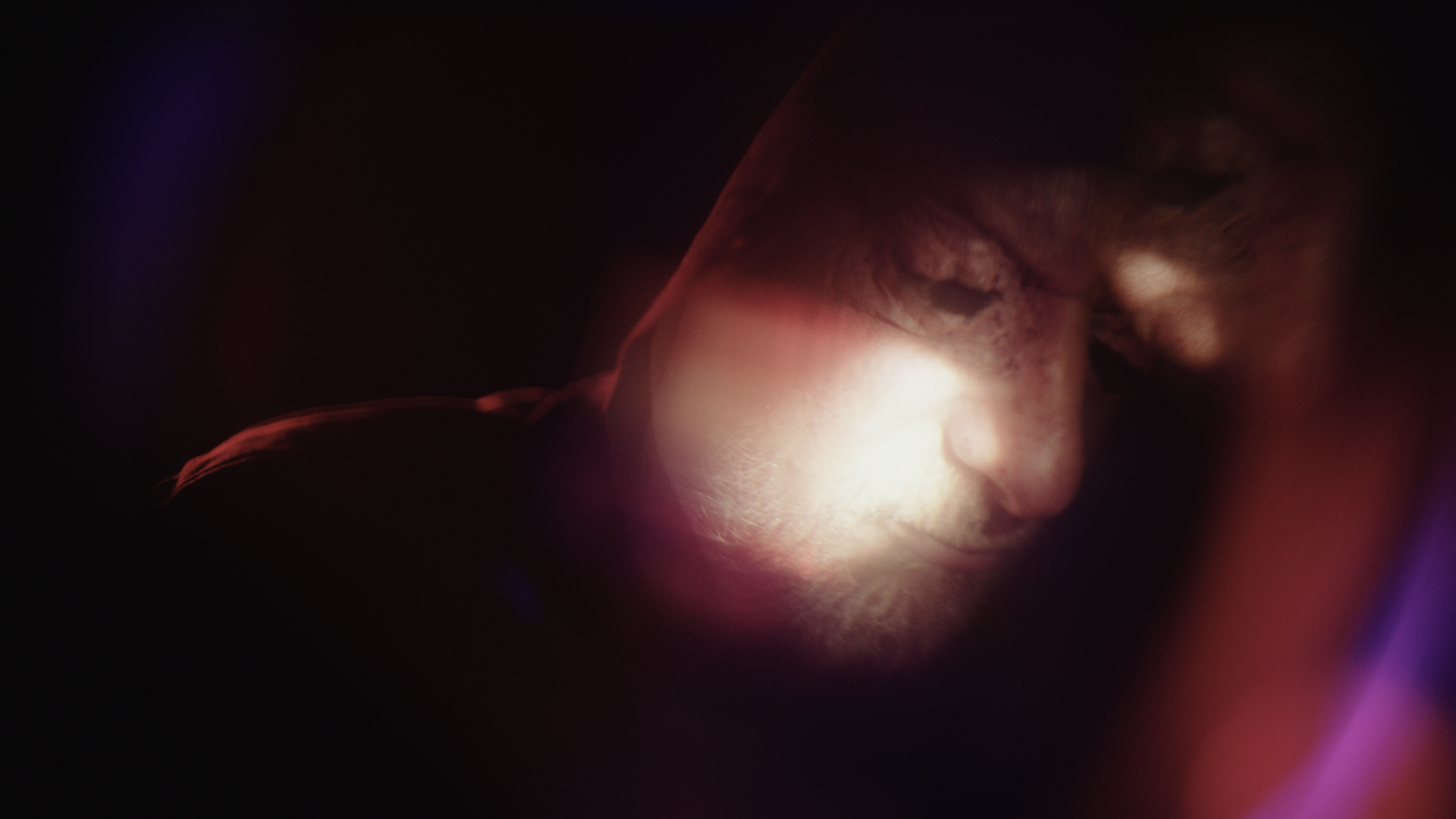 Footage.05_59_41_03.Still079.png