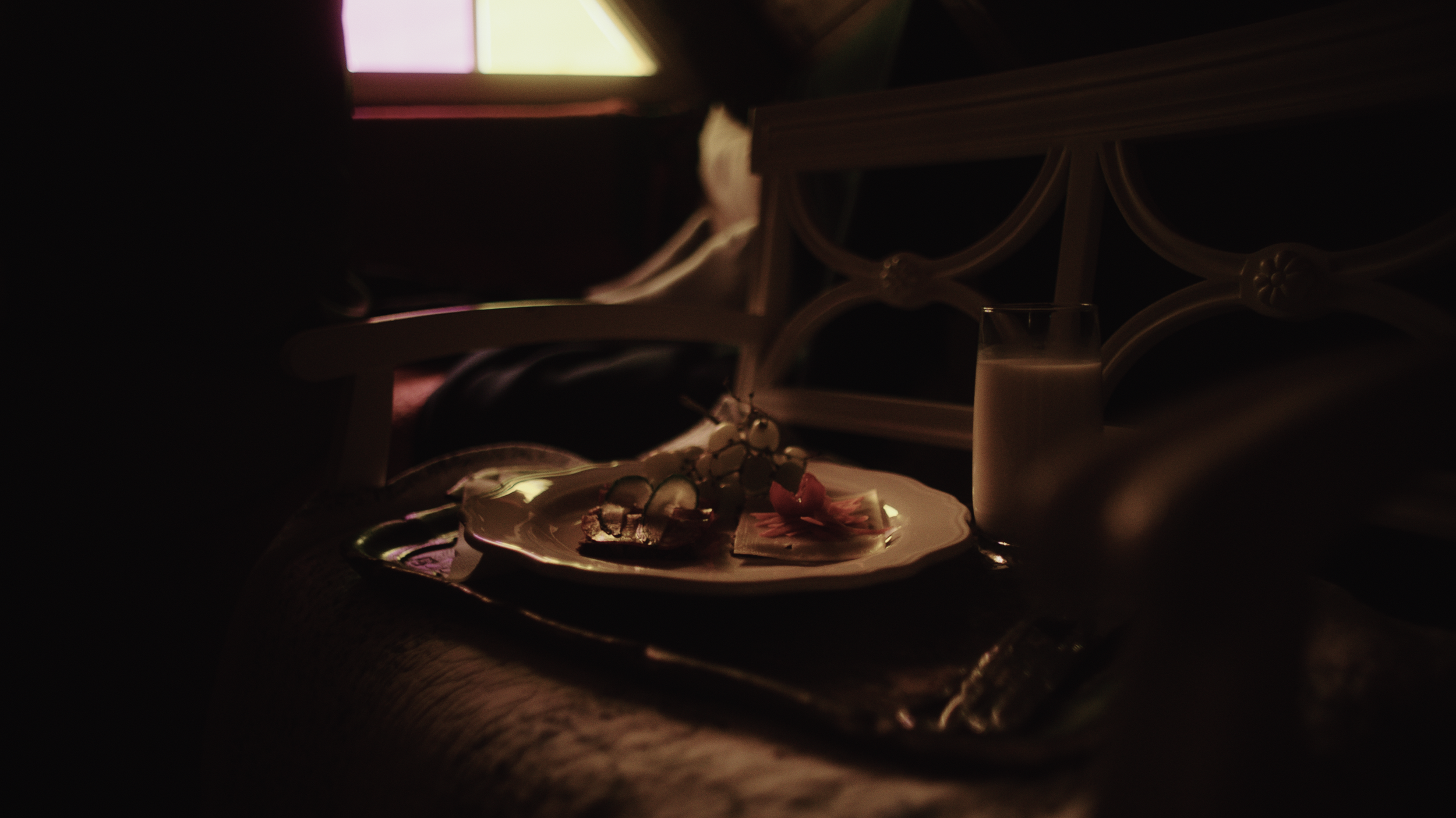 Footage.02_27_27_06.Still073.png