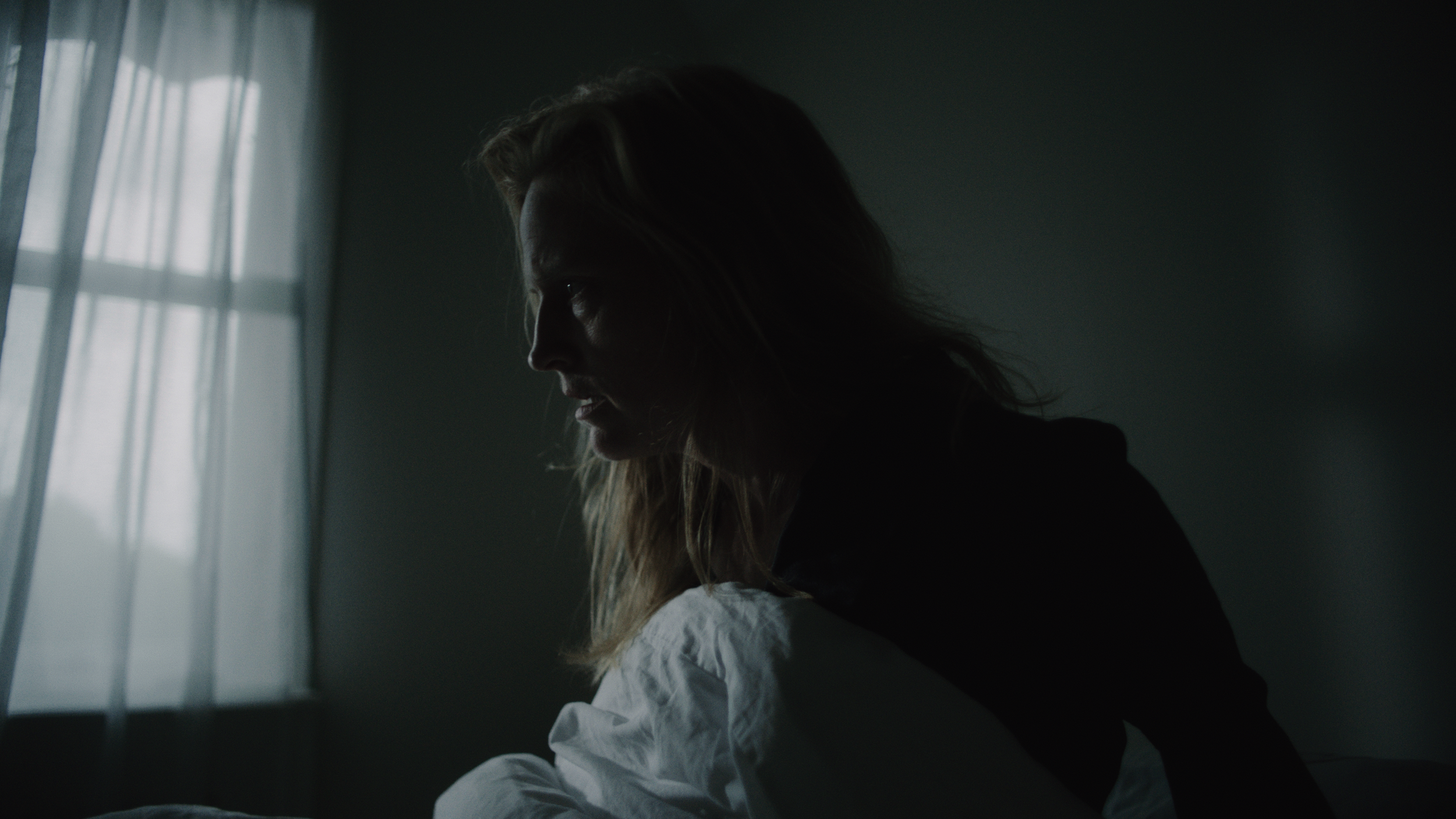 Footage.02_37_15_10.Still068.png