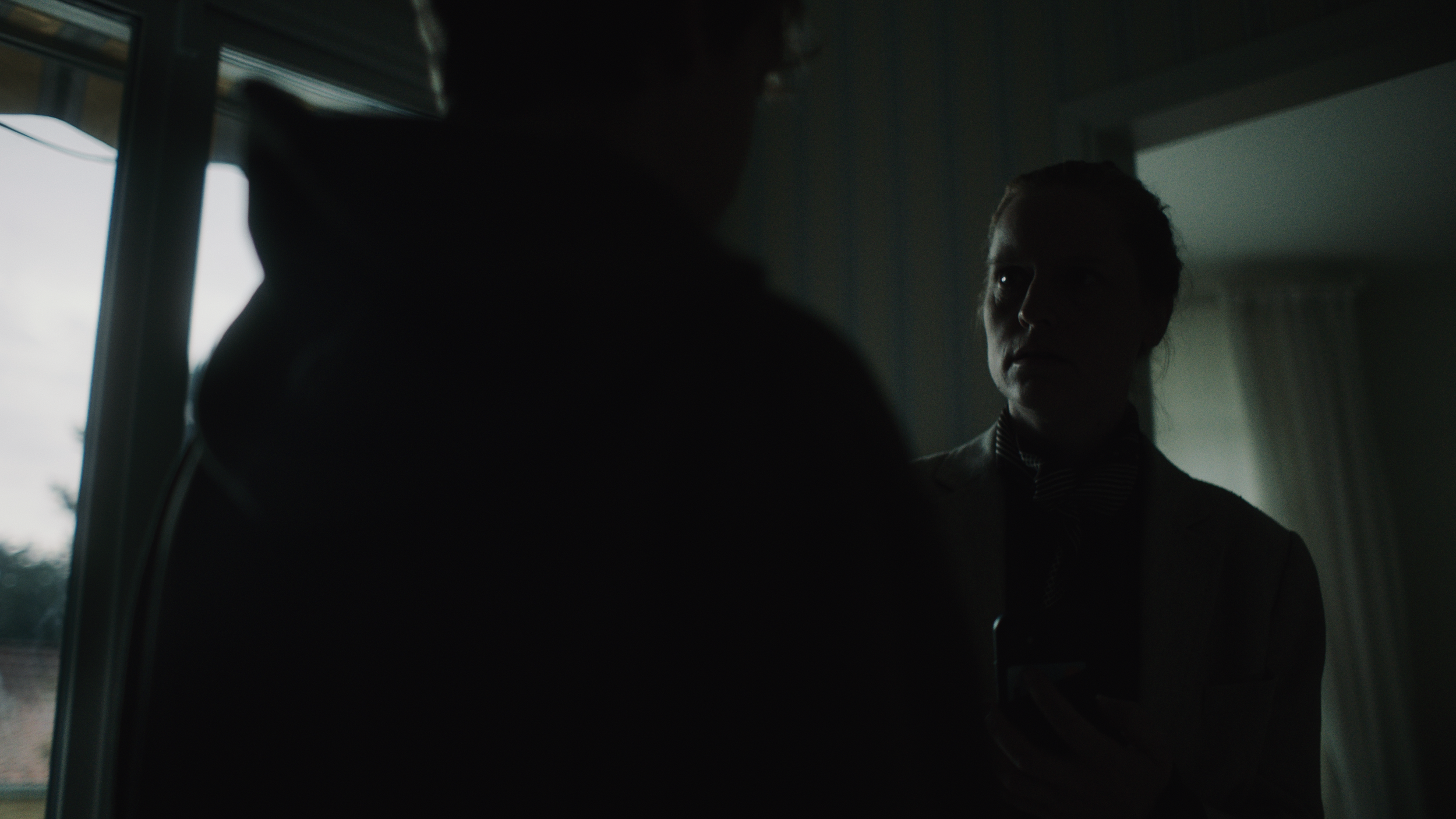Footage.00_07_35_04.Still046.png
