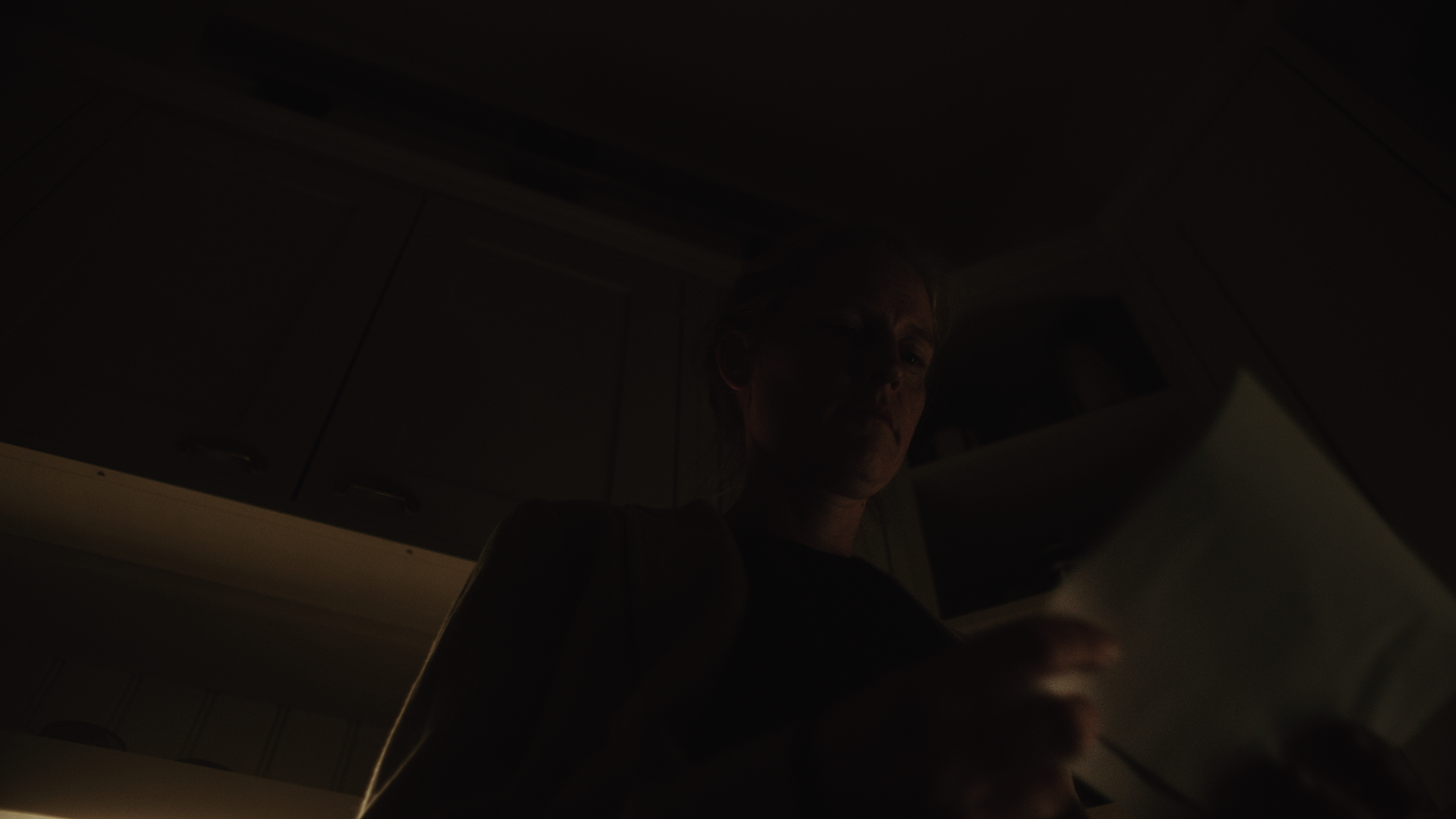 Footage.00_20_15_10.Still042.png