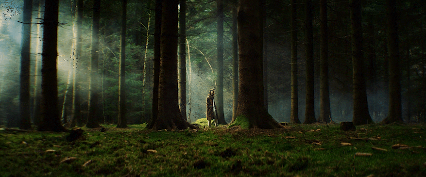 lupus_-_the_lurking_wolf (1080p)_1.gif