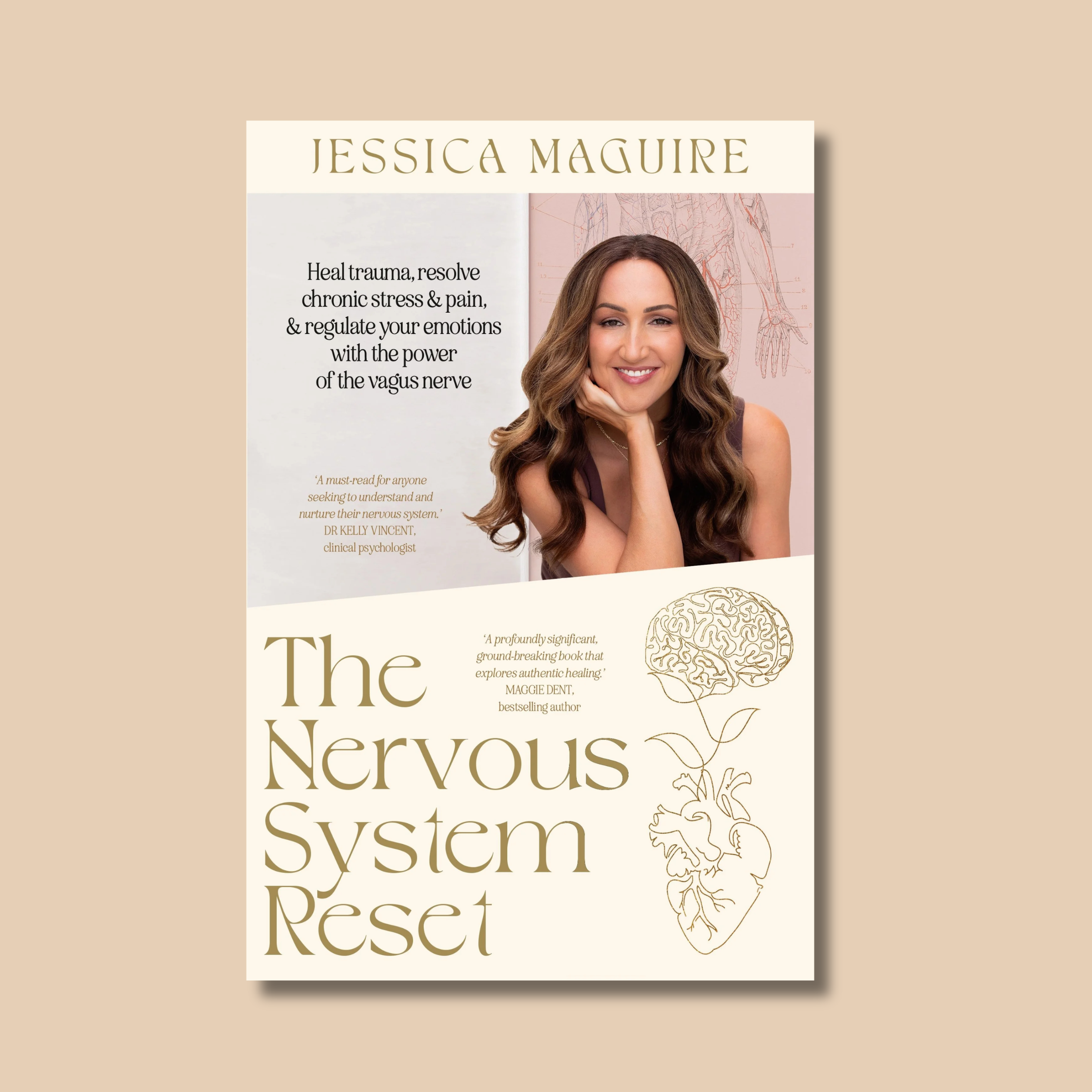 Nervous System Reset w bg.png