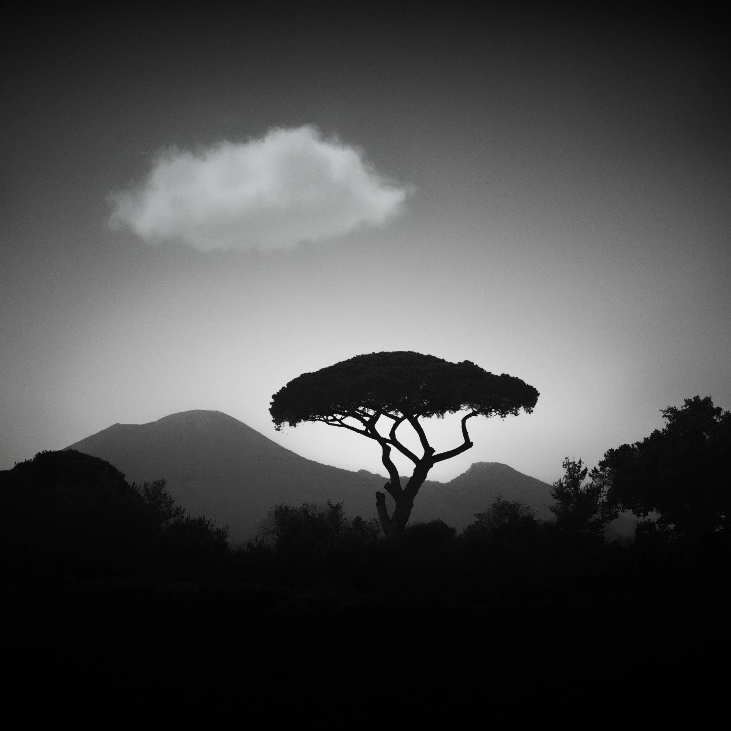 IMG_0347 1 full size.jpg