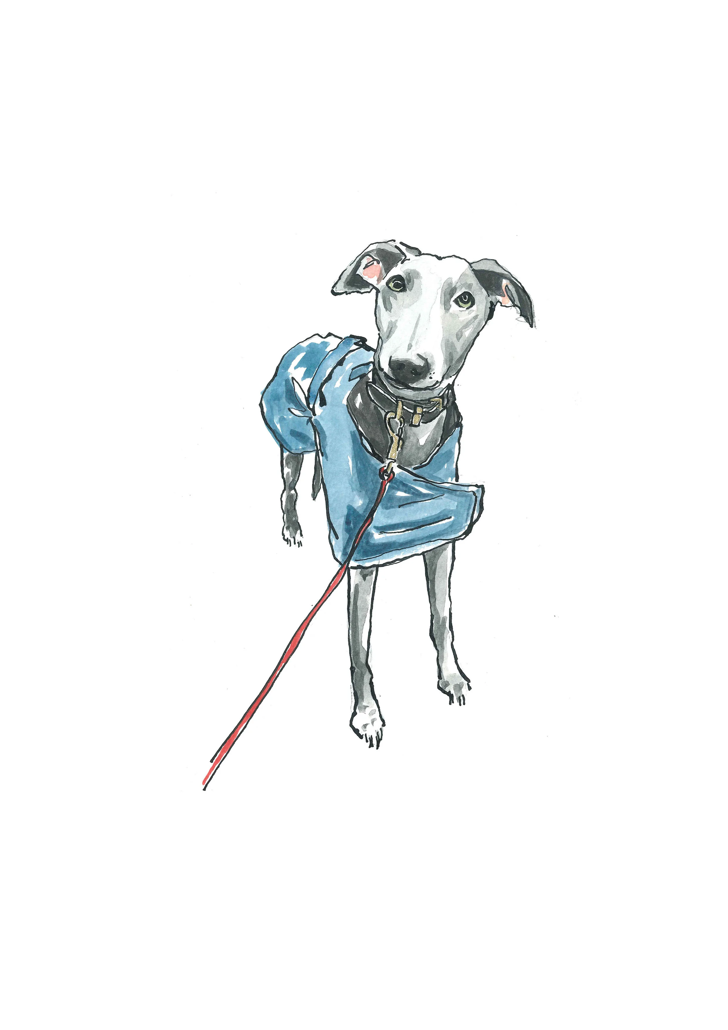 web small blue coat.jpg
