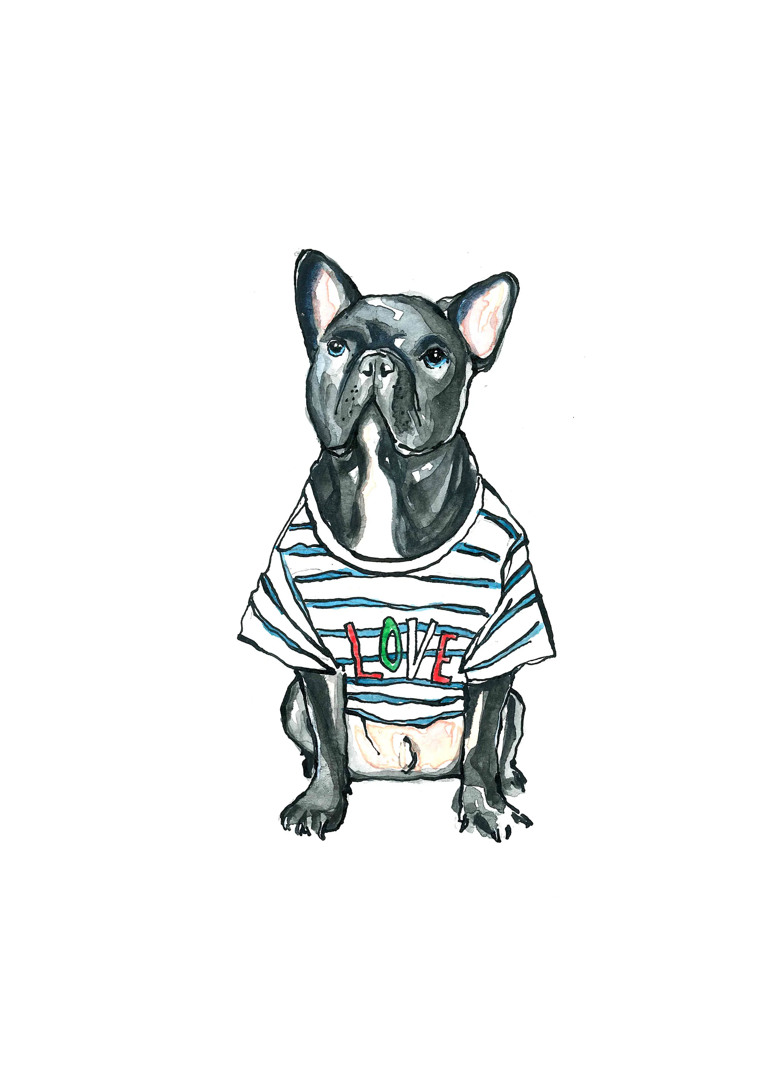 web small french bull.jpg