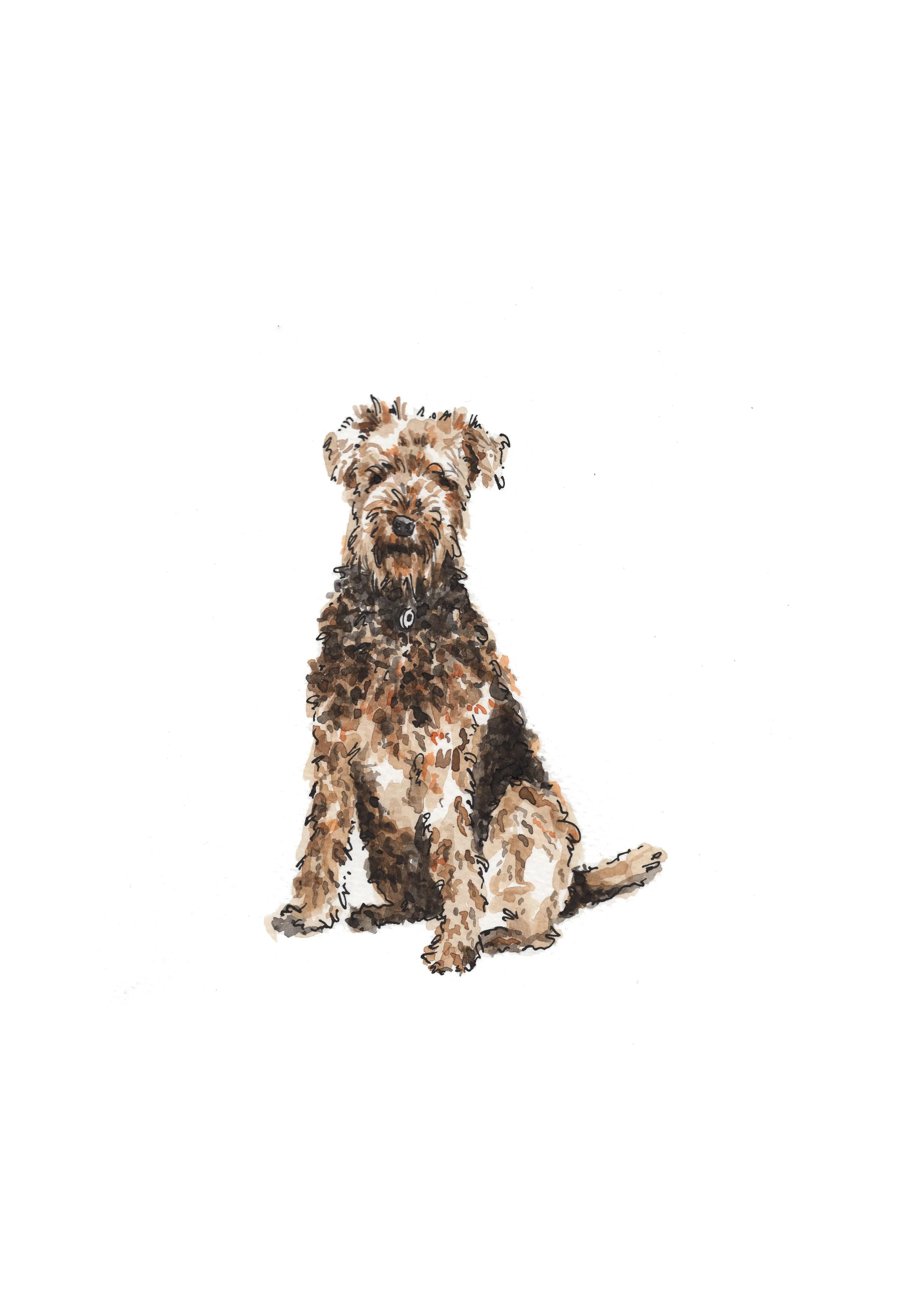 Andrews Dog copy.jpg