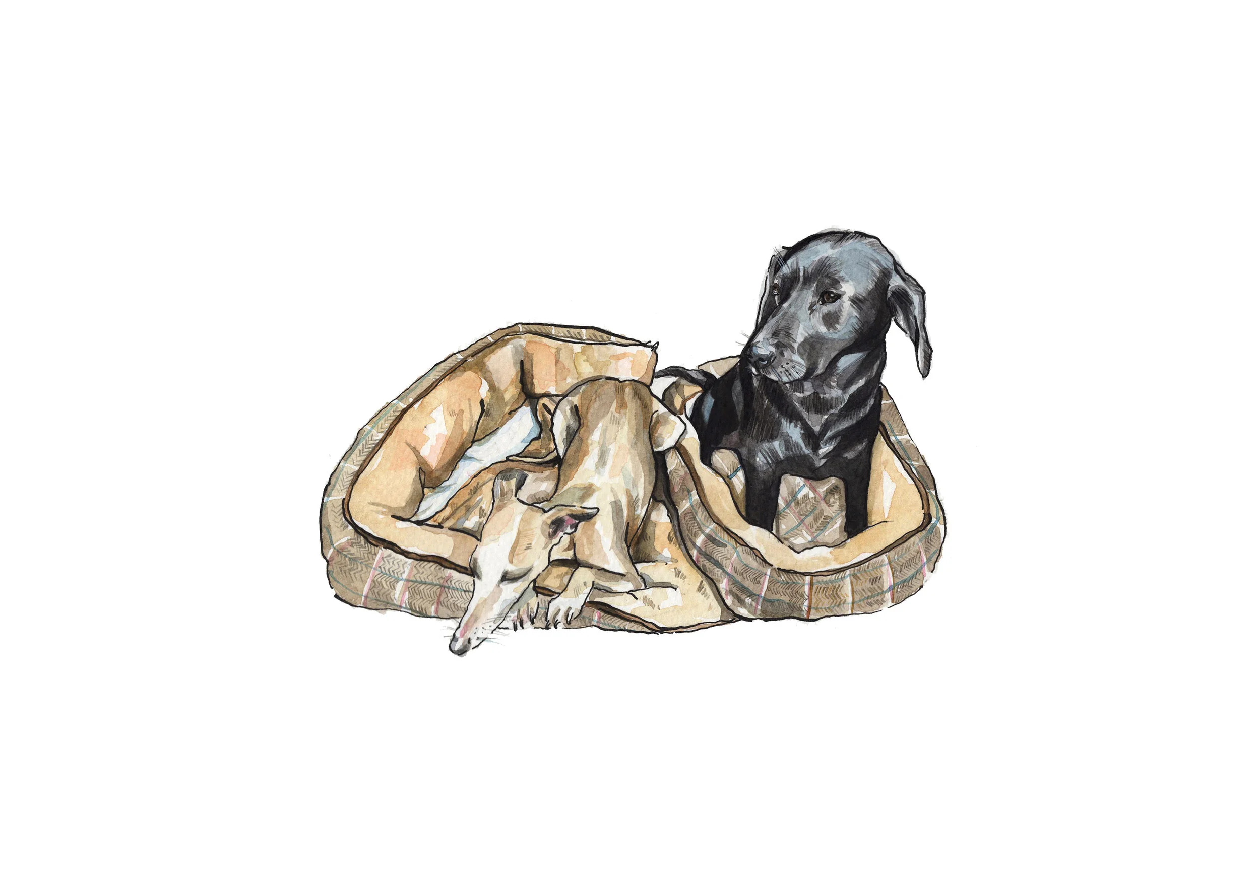 Effy & Tikka print small.jpg