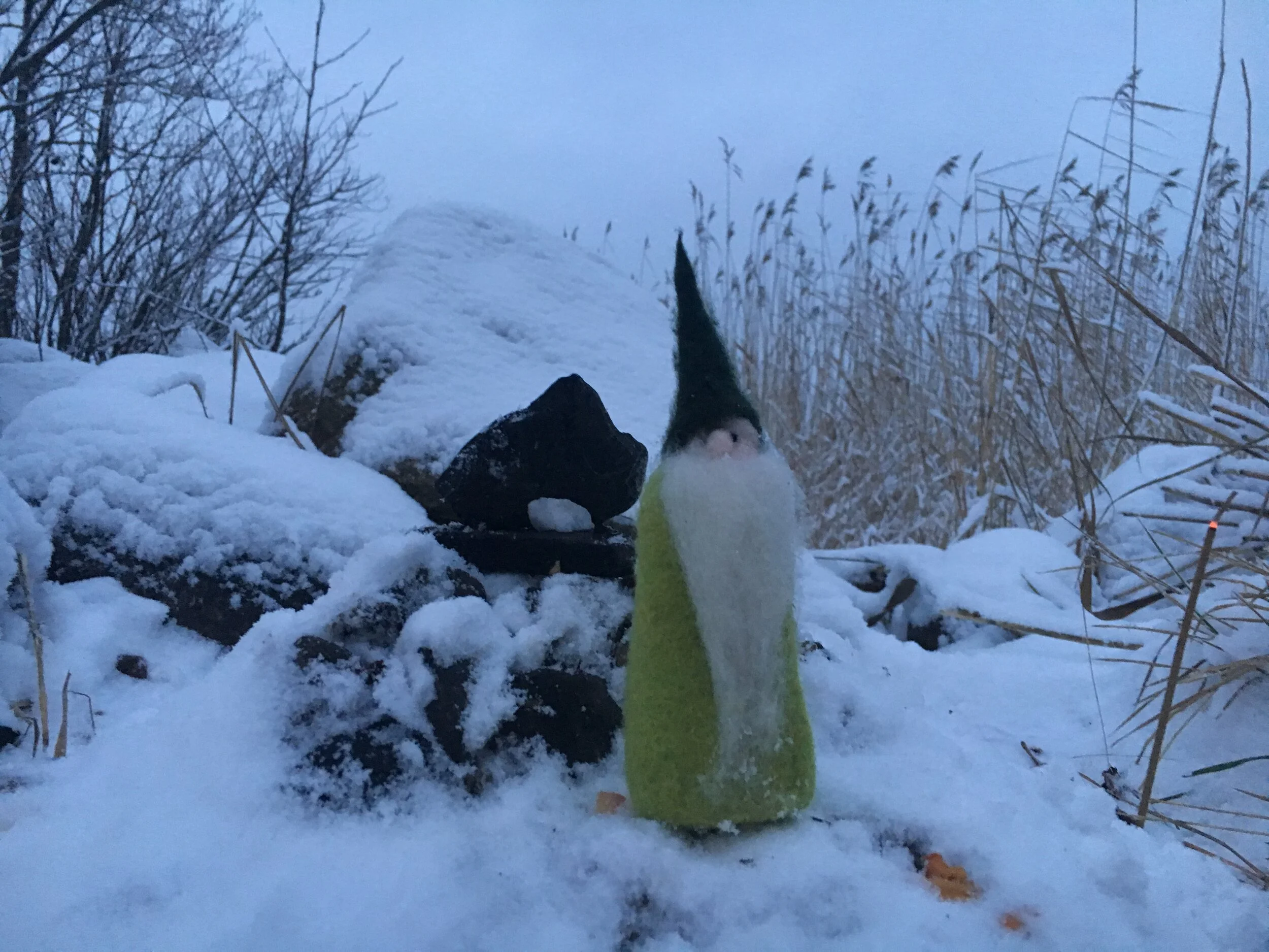 TONTUT JA IHMISET