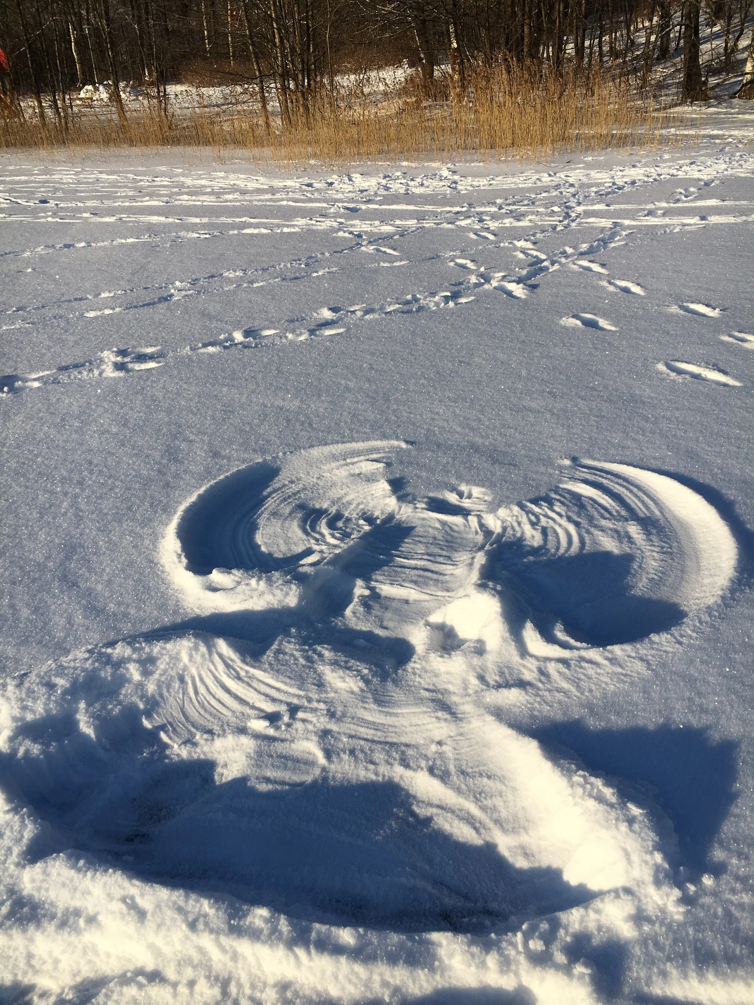 Pohdintoja shamanistisesta parantamisesta