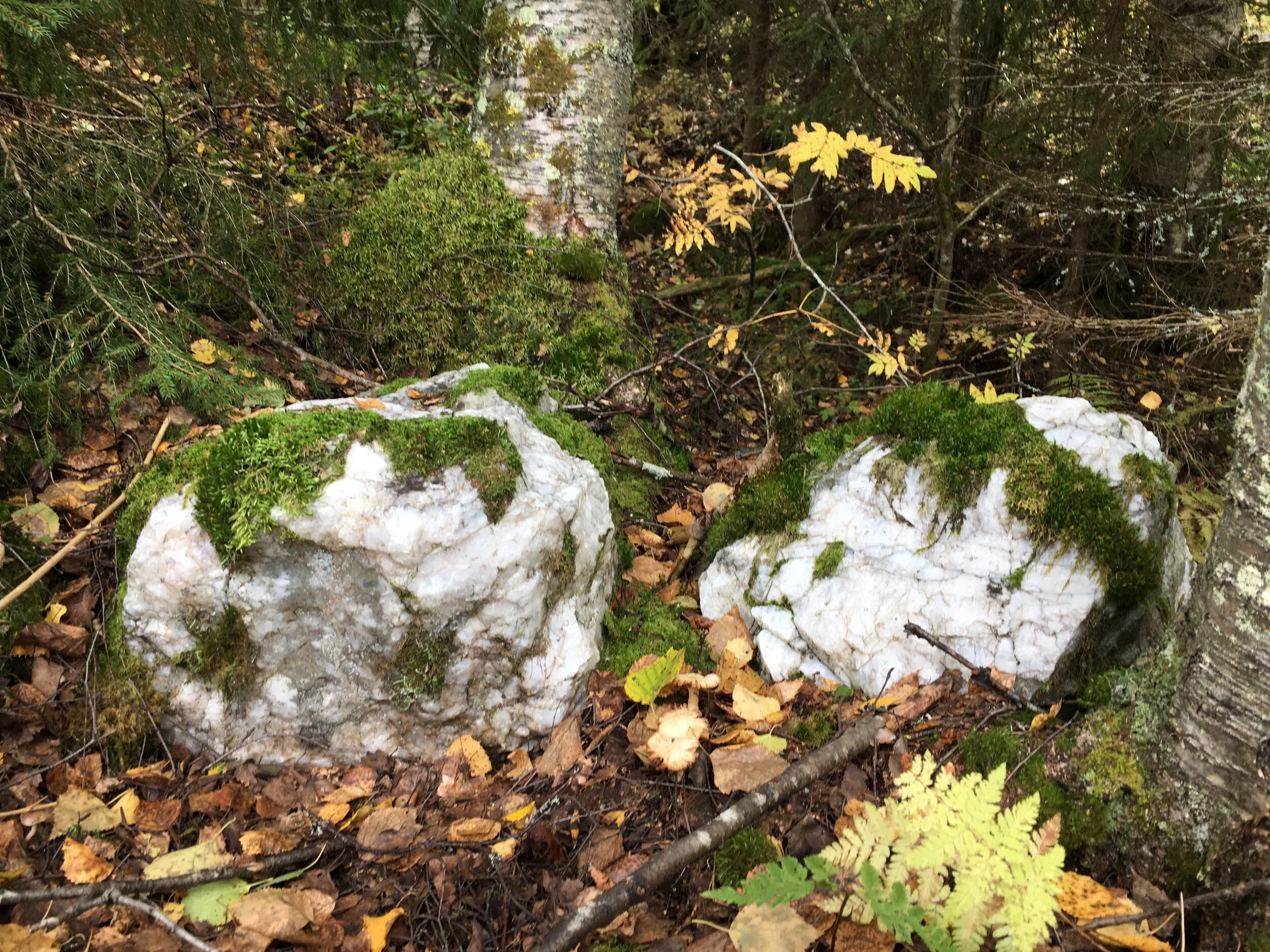 HIISIEN KOKEMUKSELLINEN MAAPERÄ