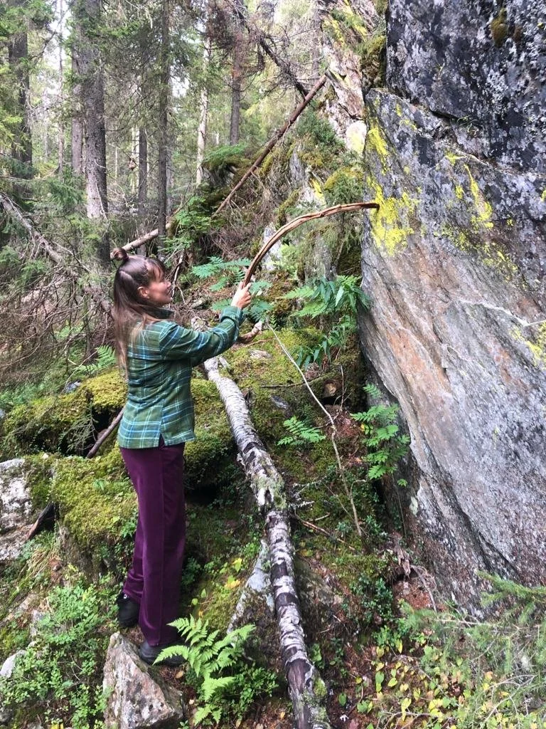 800-VUOTISET HIISI-VAINOT VUODESTA 1229 ALKAEN: Mitä ratkaisuja niiden lopettamiseksi?