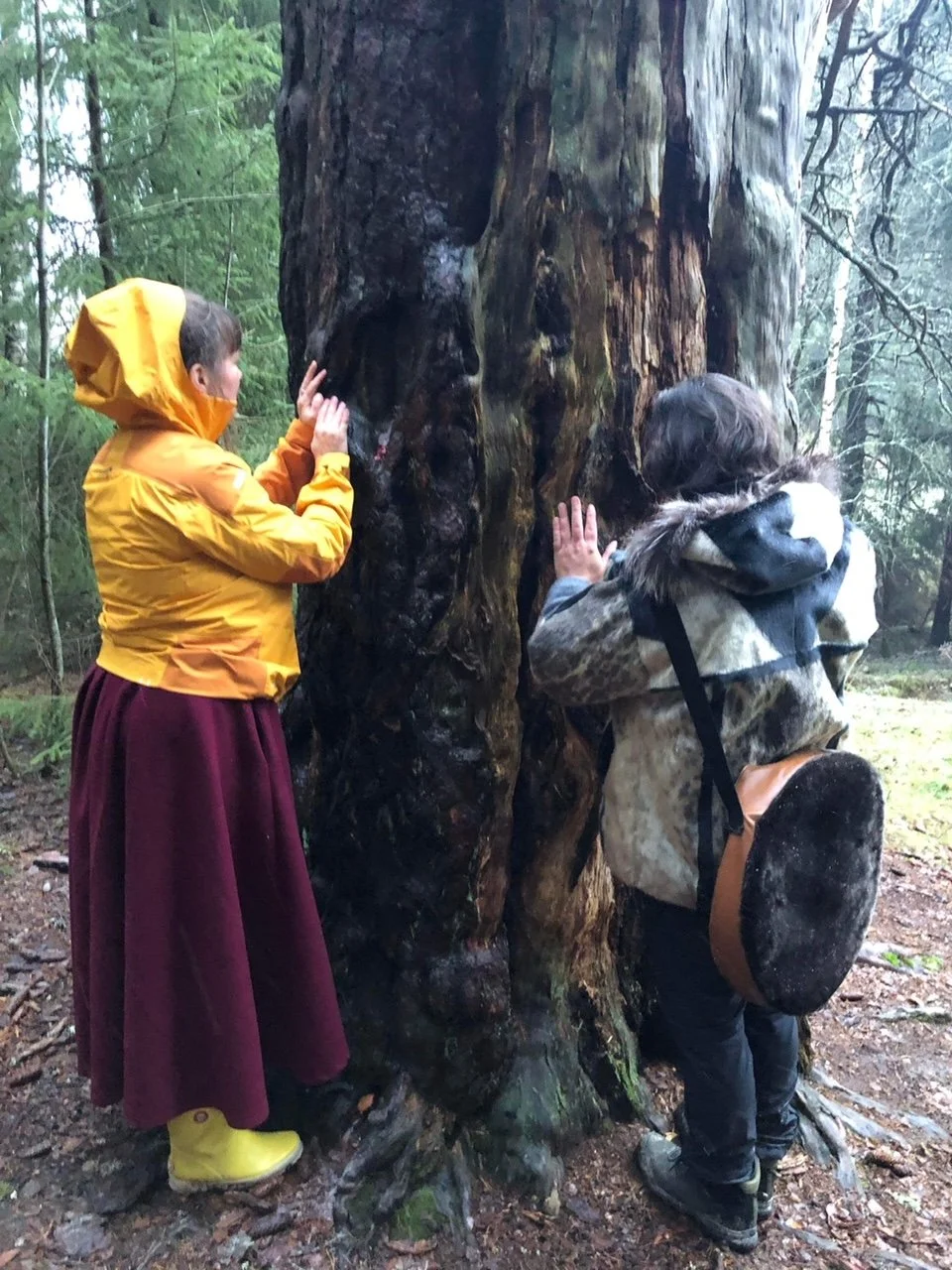NORTHERN IDENTITY AND SHAMANISM