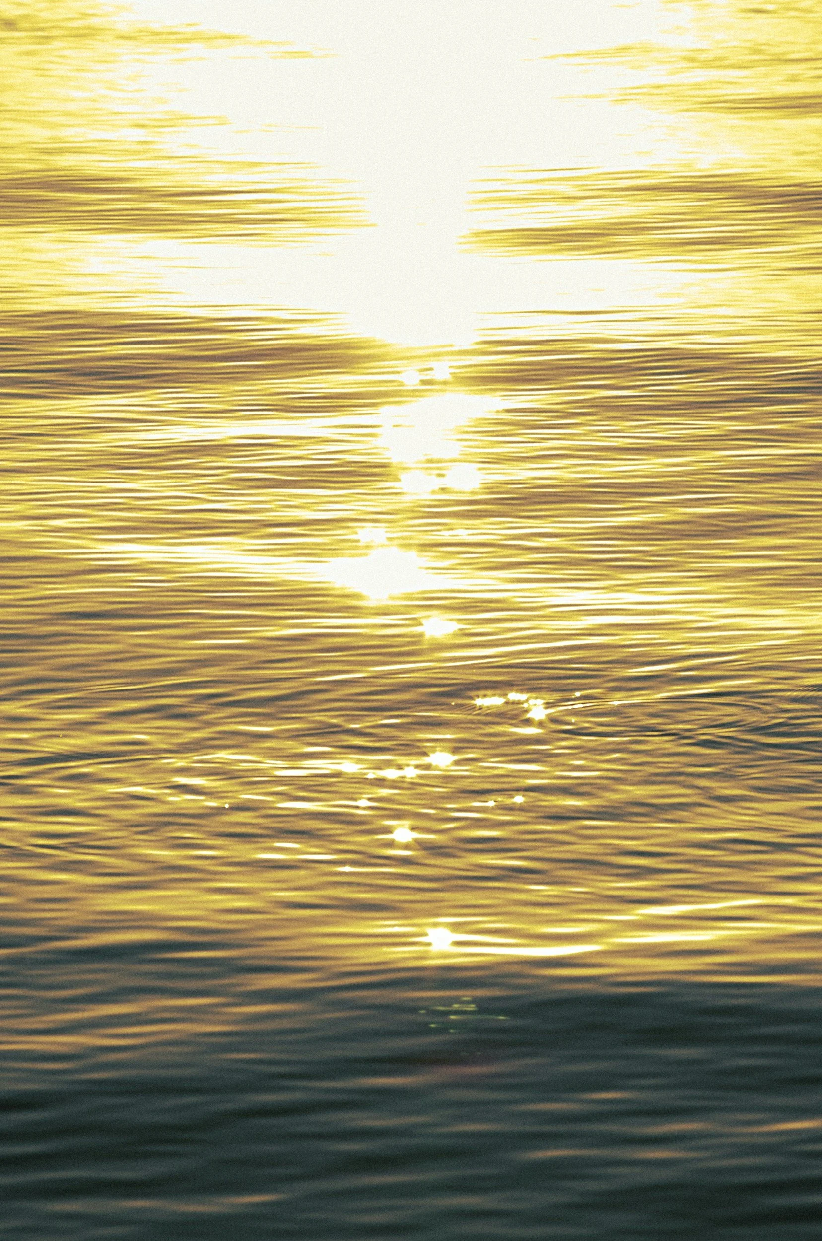unsplash-image-z3S9HYNd0EQ.jpg