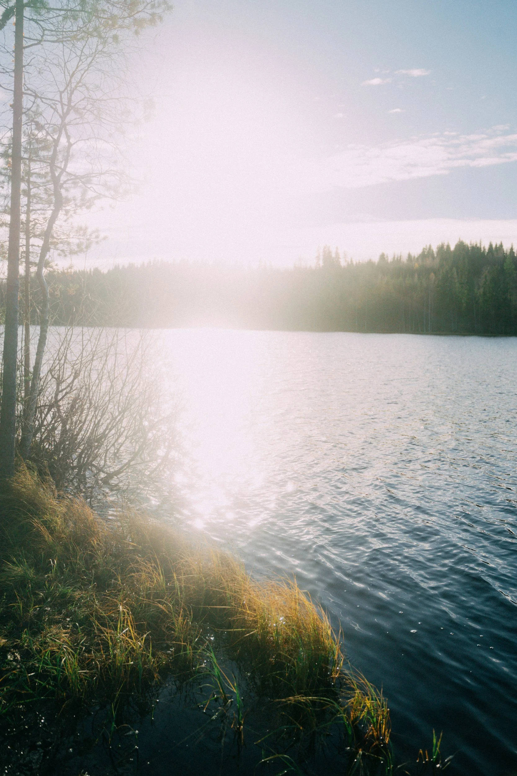 unsplash-image-bJdDeaqmtJg.jpg