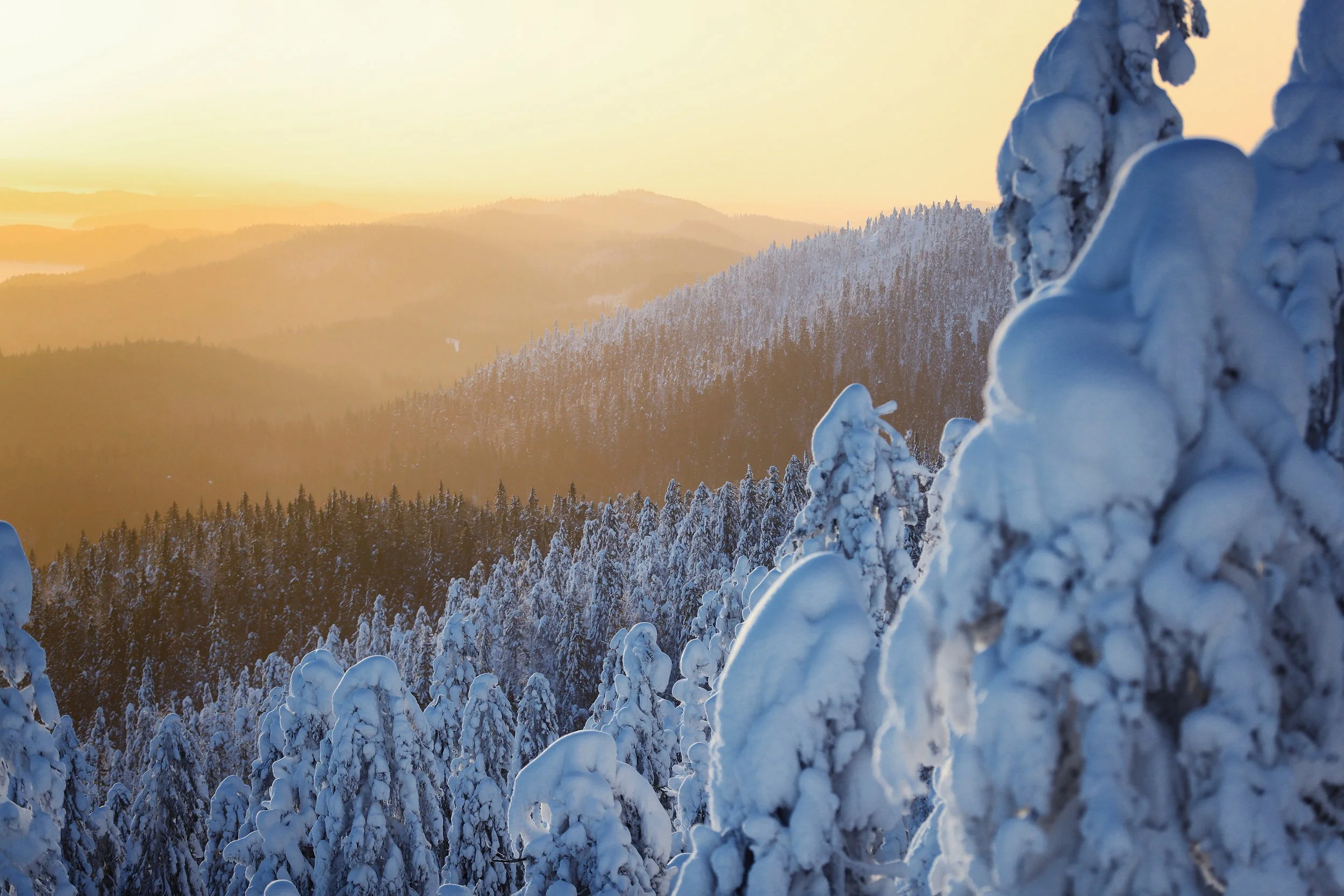 VisitKarelia_Harri Tarvainen_winter_Koli23 (1).jpg