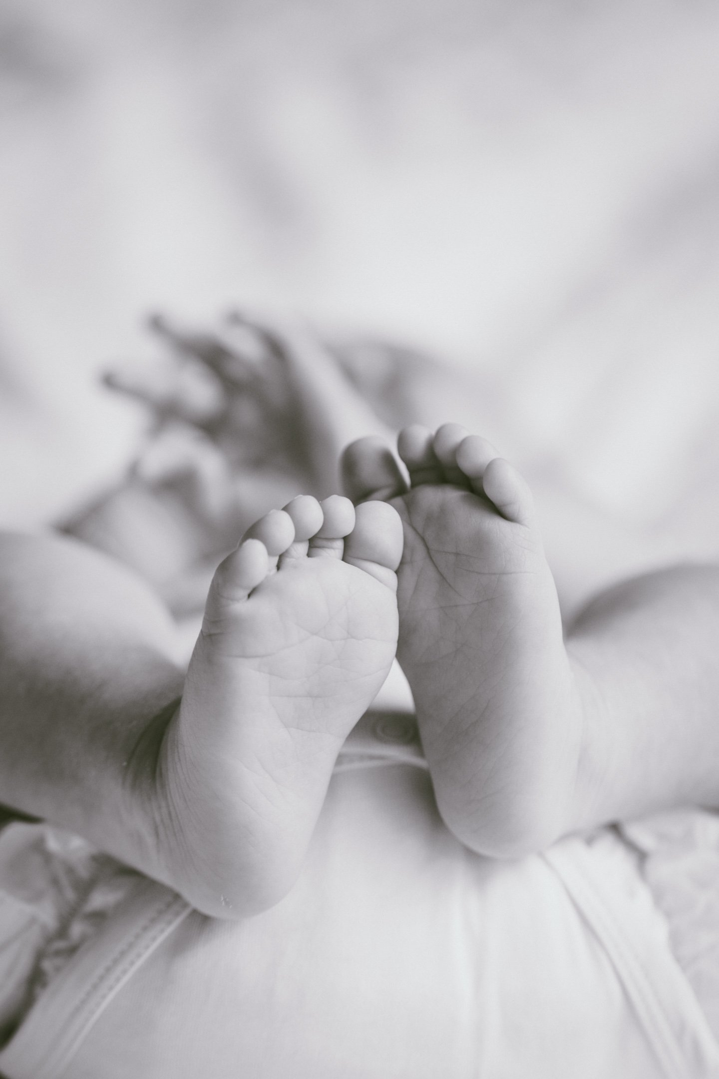 jessie-jansen-foto-video-makkum-friesland-bruidsfotografie-gezinsfotografie-newbornfotografie-zwangerschapsfotografie-zakelijke-fotografie-176.jpg