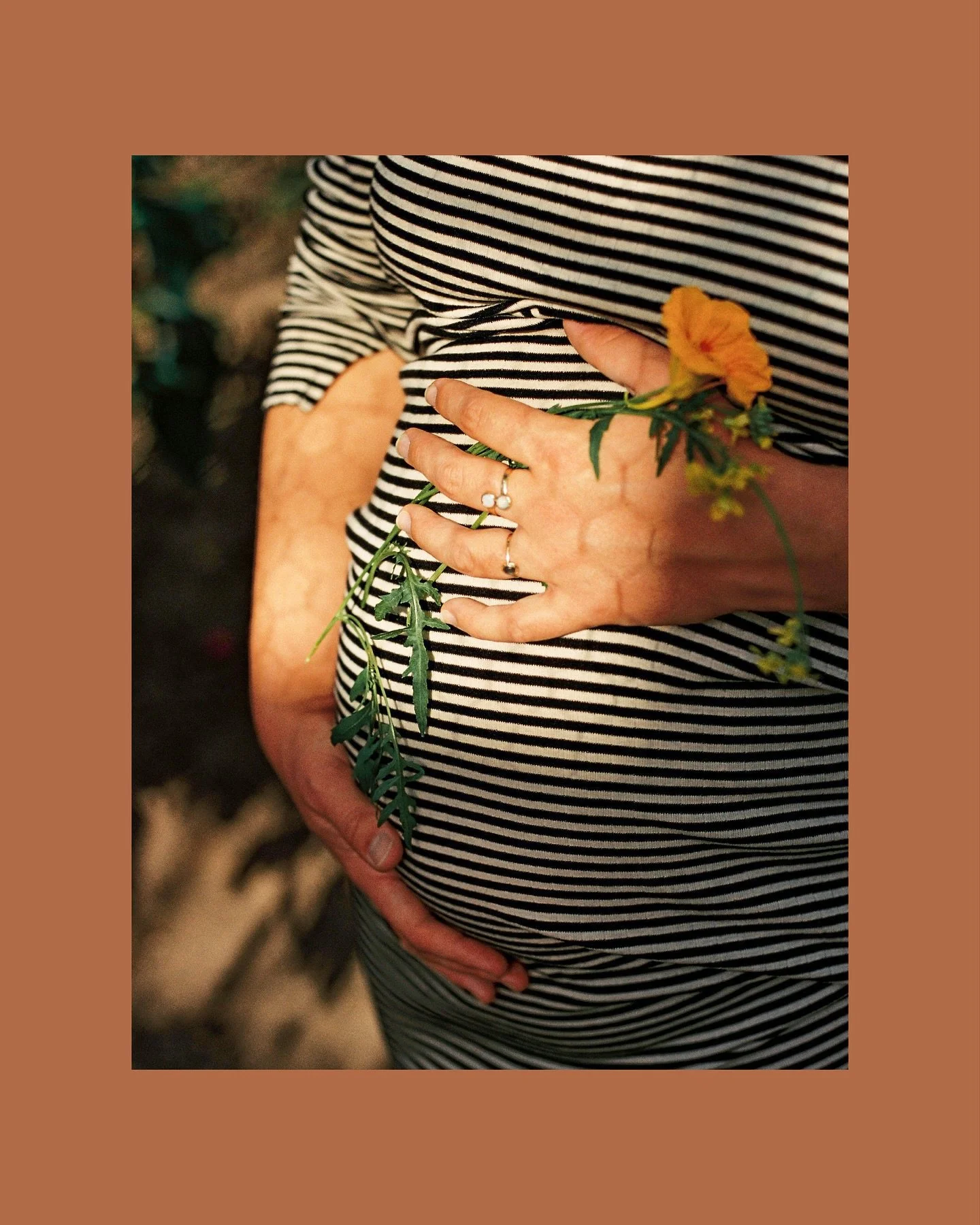 Met @bregjetwilt in de kas. We oogsten de laatste tomaatjes en schoten deze fijne, analoge beelden. 🎞️🍅💛