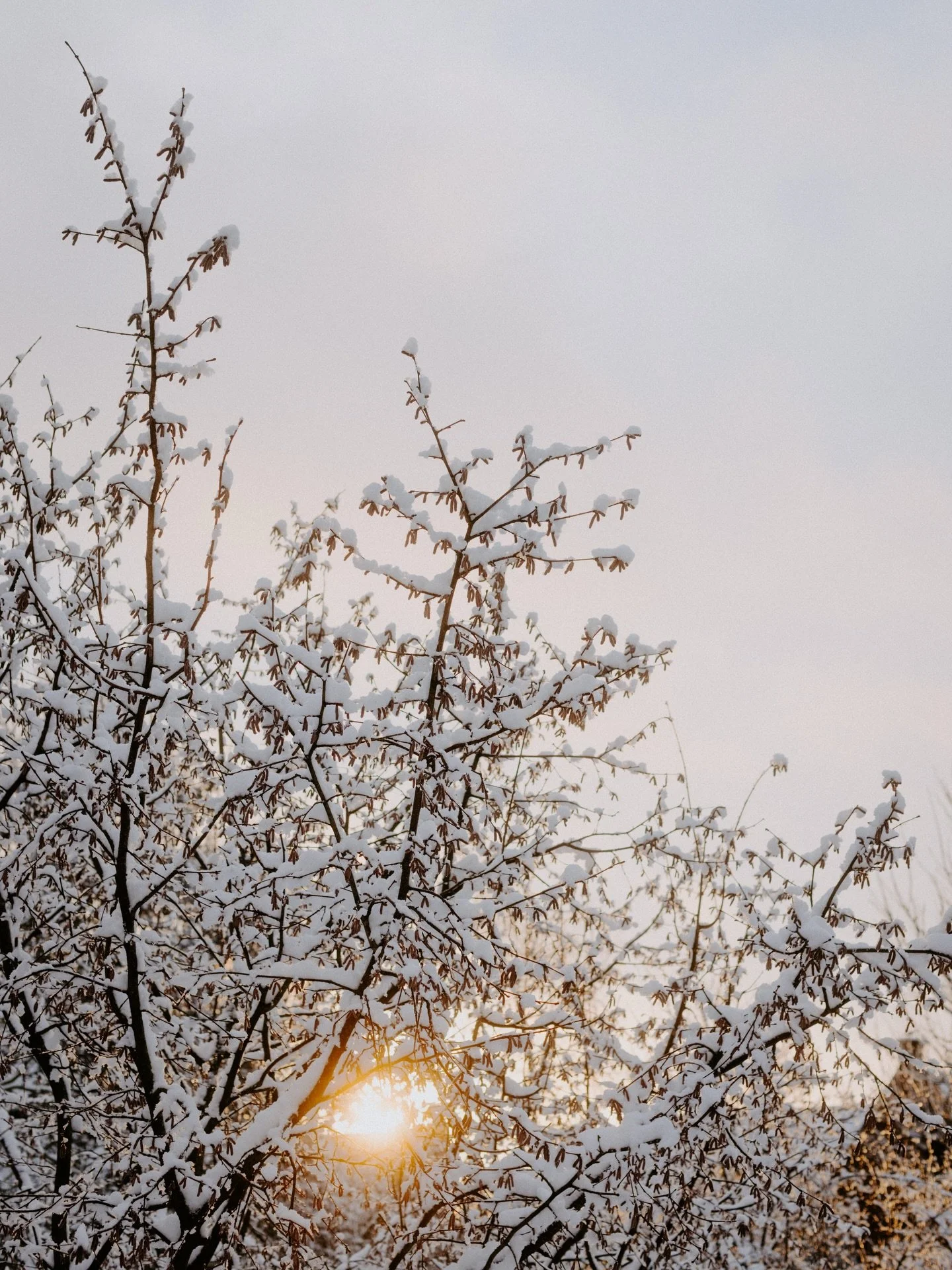 Sneeuw!! 🌨️ Dat vraagt om spontane mini-shoots! Alleen vandaag. Locatie: Makkum. 20 foto&rsquo;s &euro;95,-. Reserveer je plekje via mijn stories. 💛

Fijn 2026!