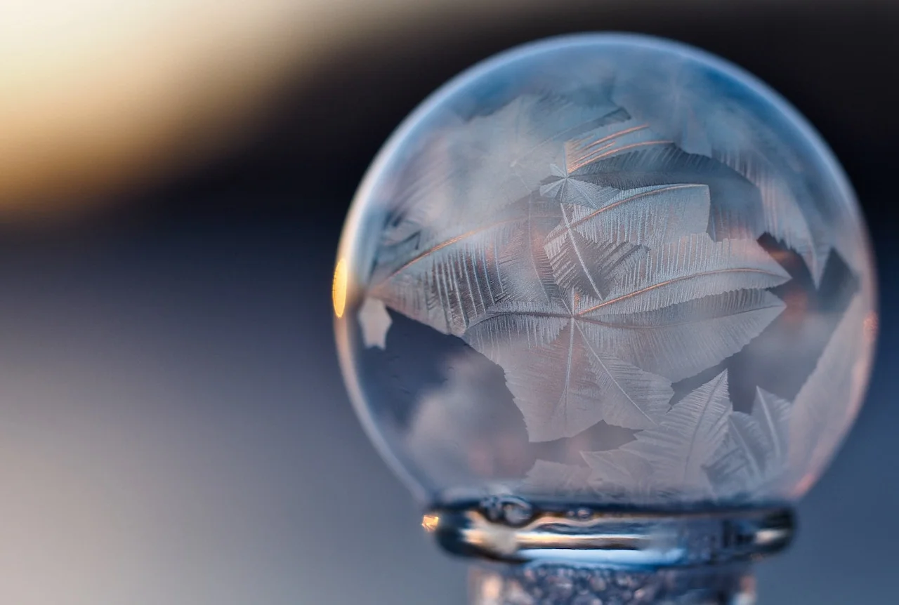  Support in Critical Business Decisions   Prepare your Future Today.       Contact Us  