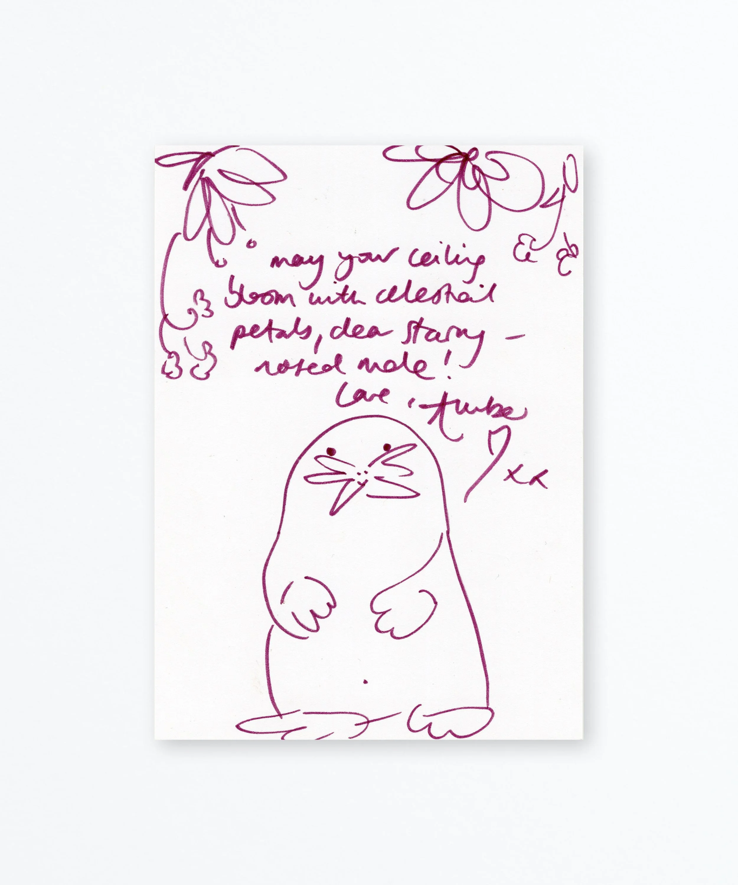 Amber T&S sales page images on paper12.jpg