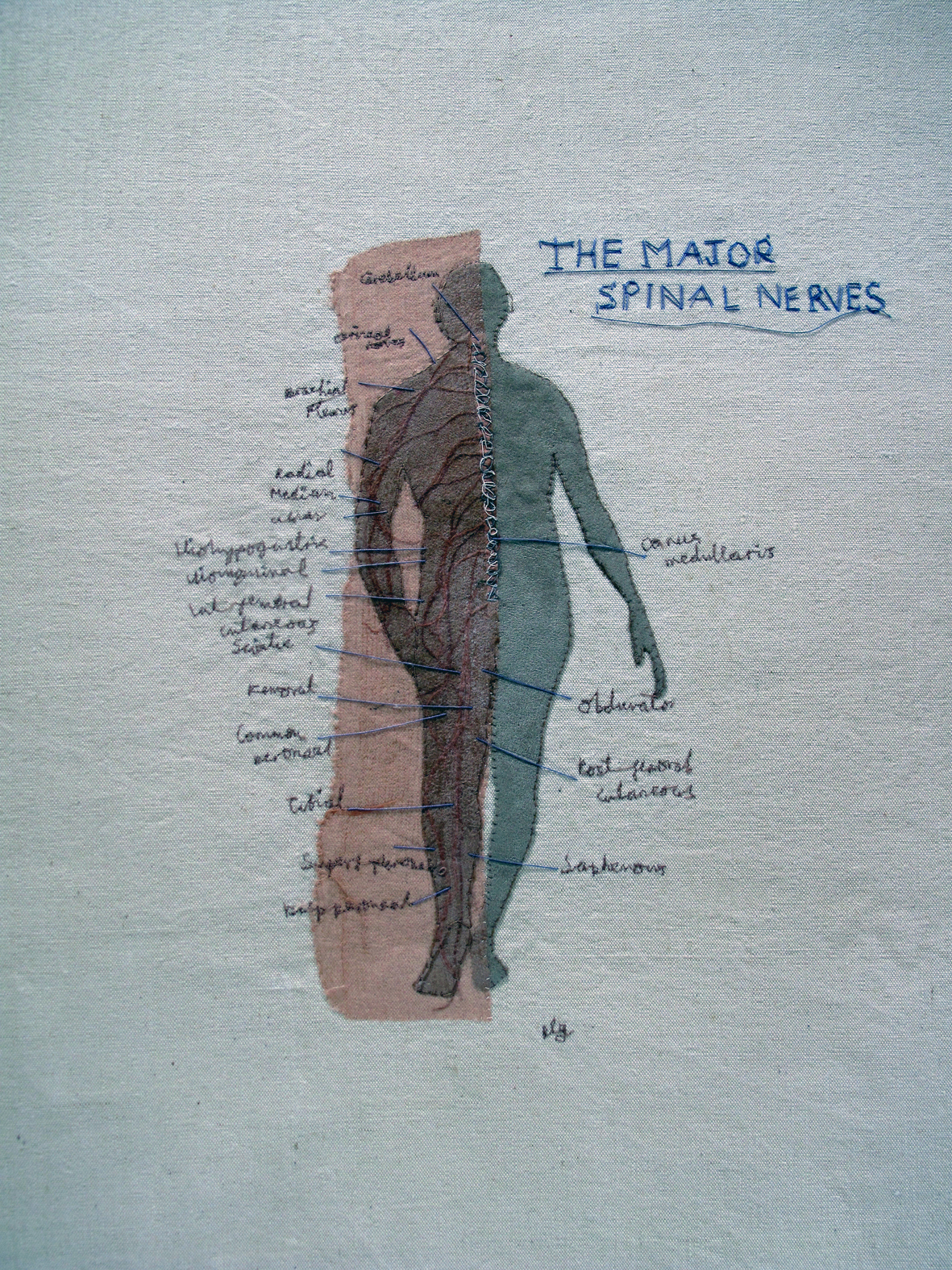 spine 1.jpg