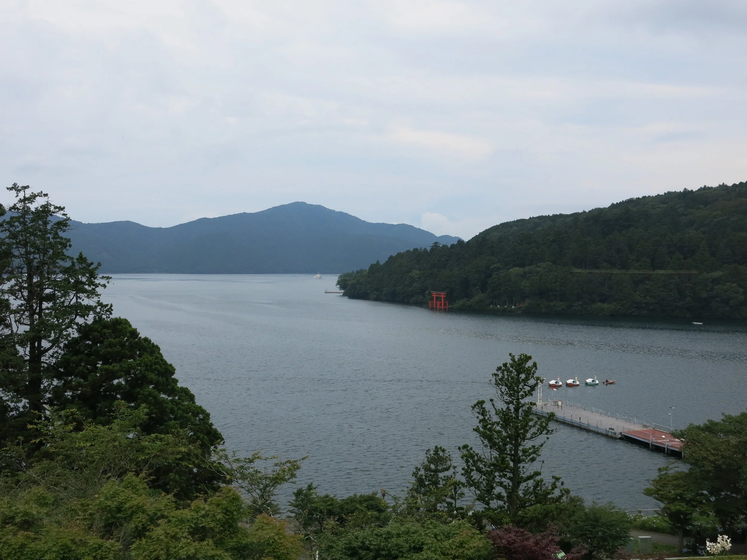 IMG_2991.jpg
