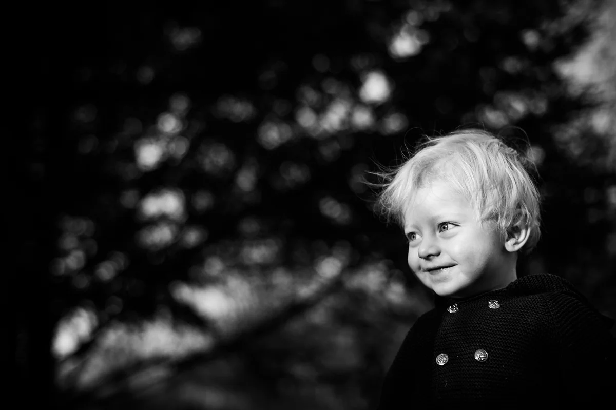 alfred-2172 web.jpg