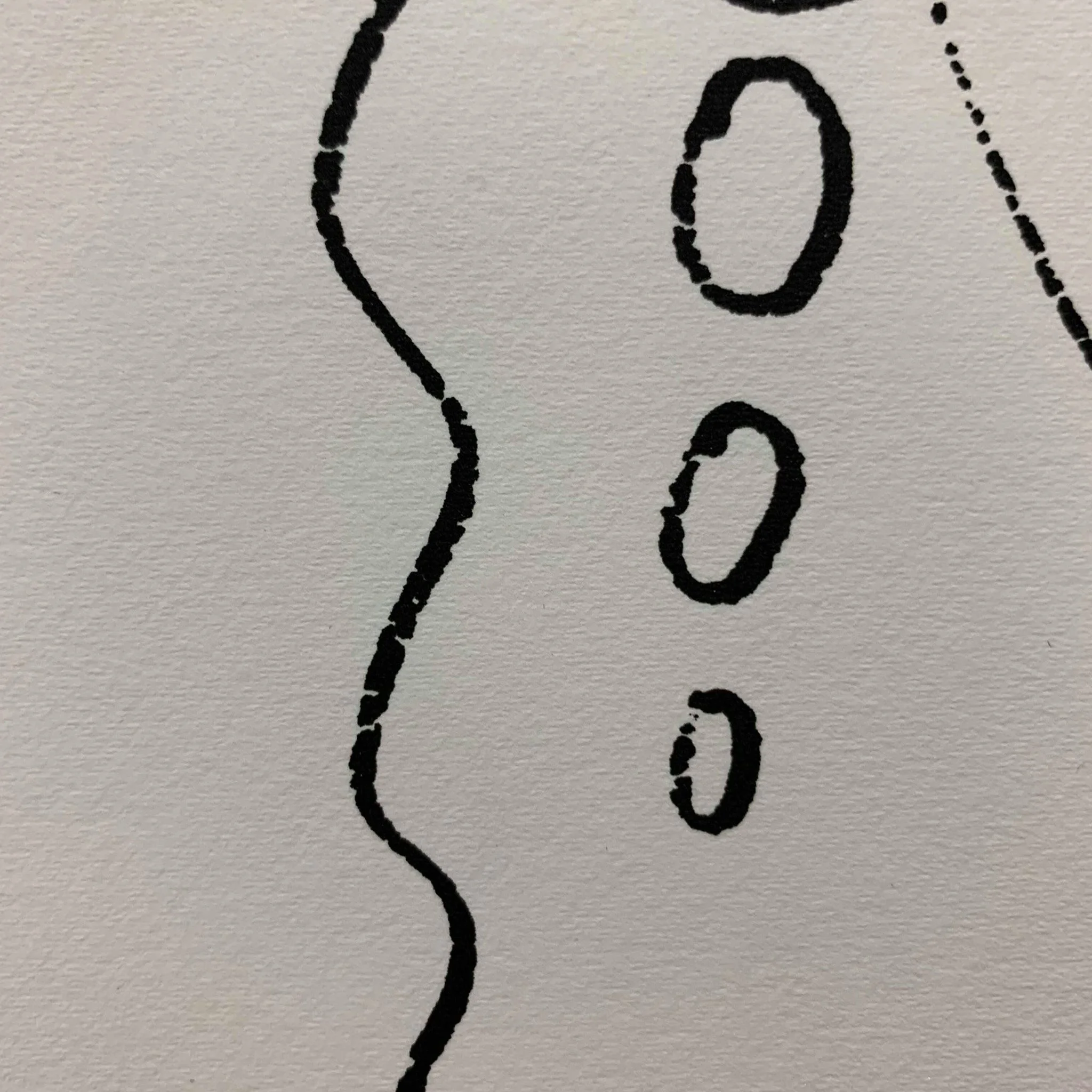 53263060_392752488172765_7730333188769185792_n.jpg